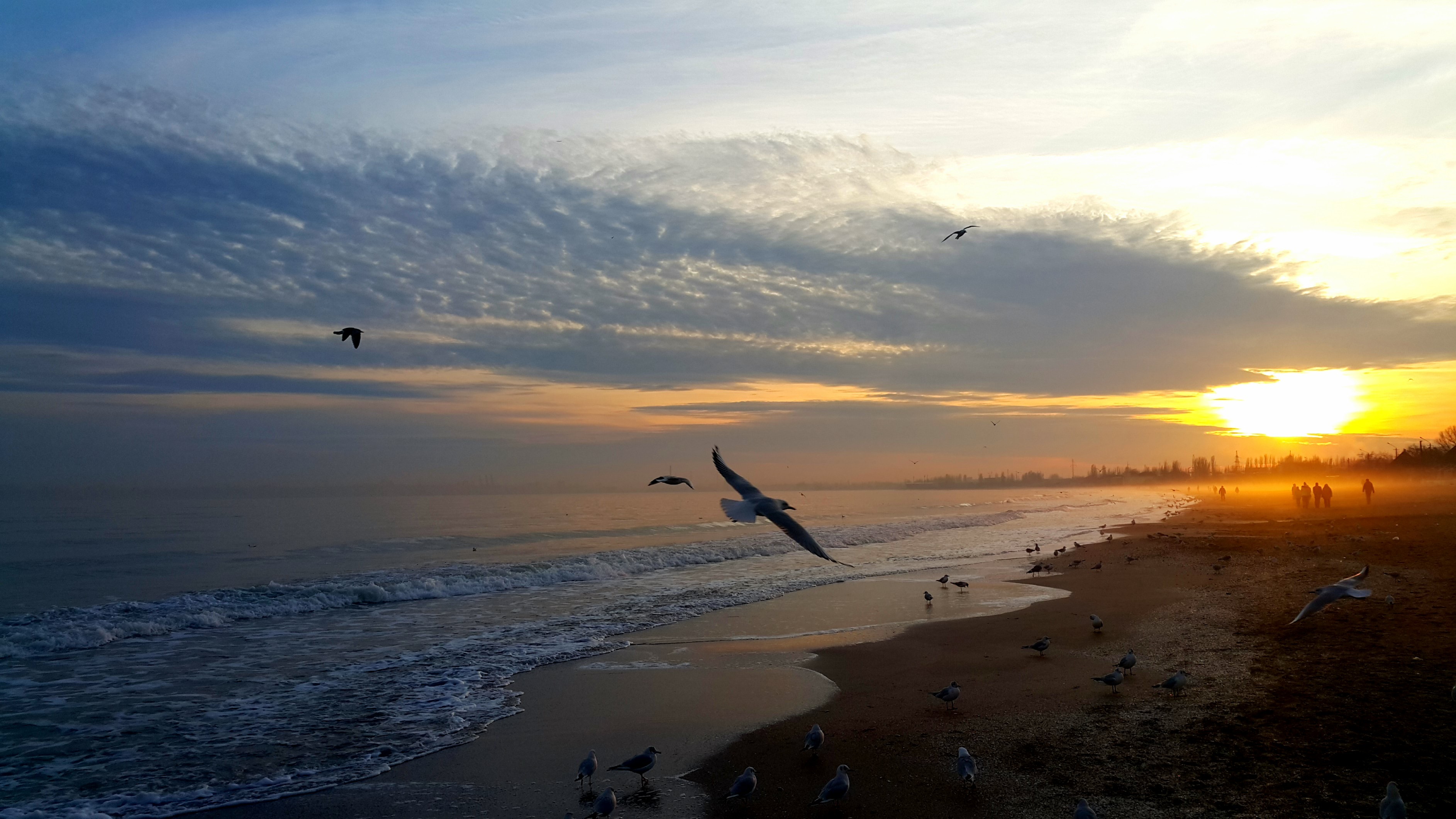 shore, birds, sunset, people, nature, sky, sea, bank download HD wallpaper