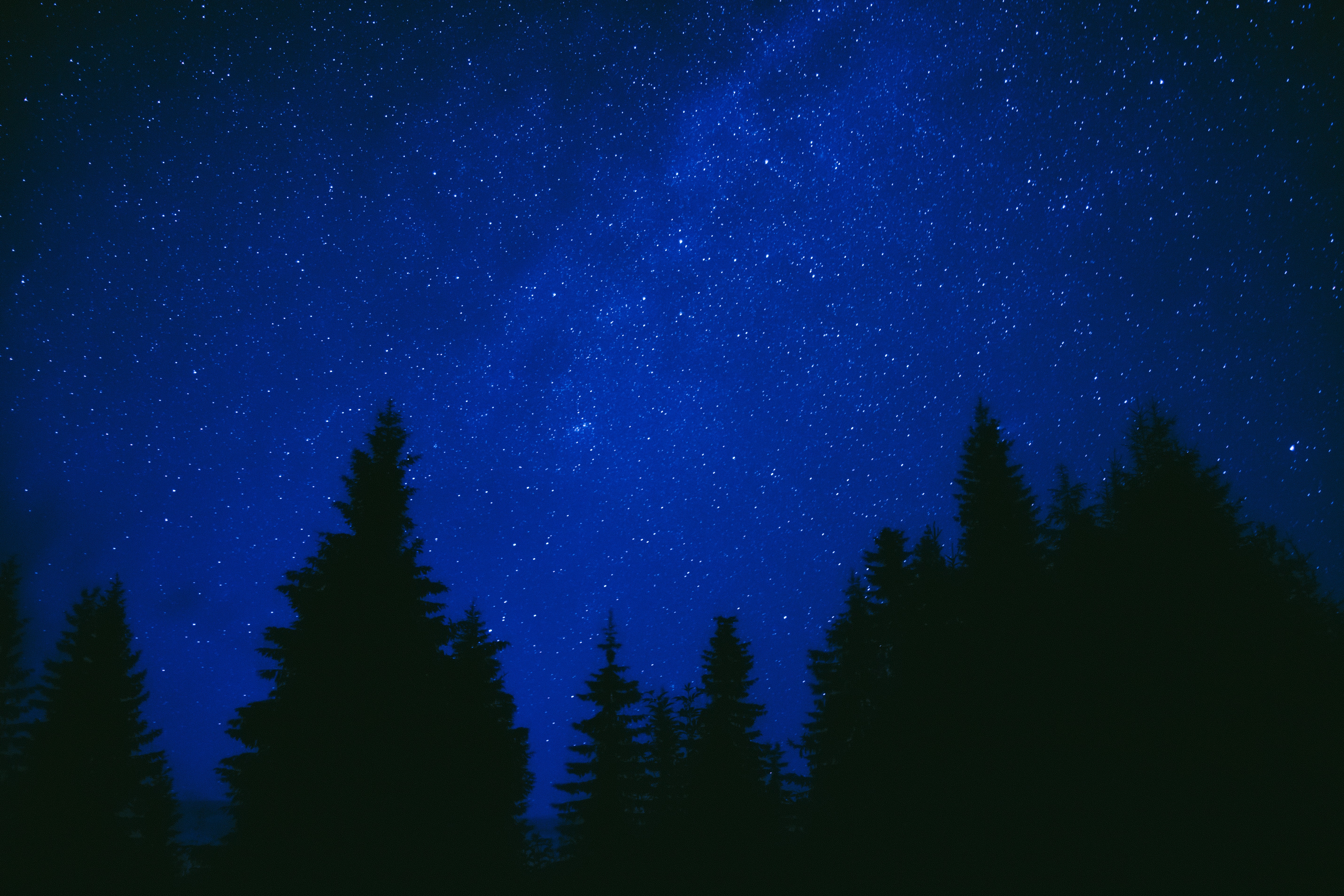 114063 Заставки и Обои Темный на телефон. Скачать деревья, синий, звездное небо, ночь картинки бесплатно