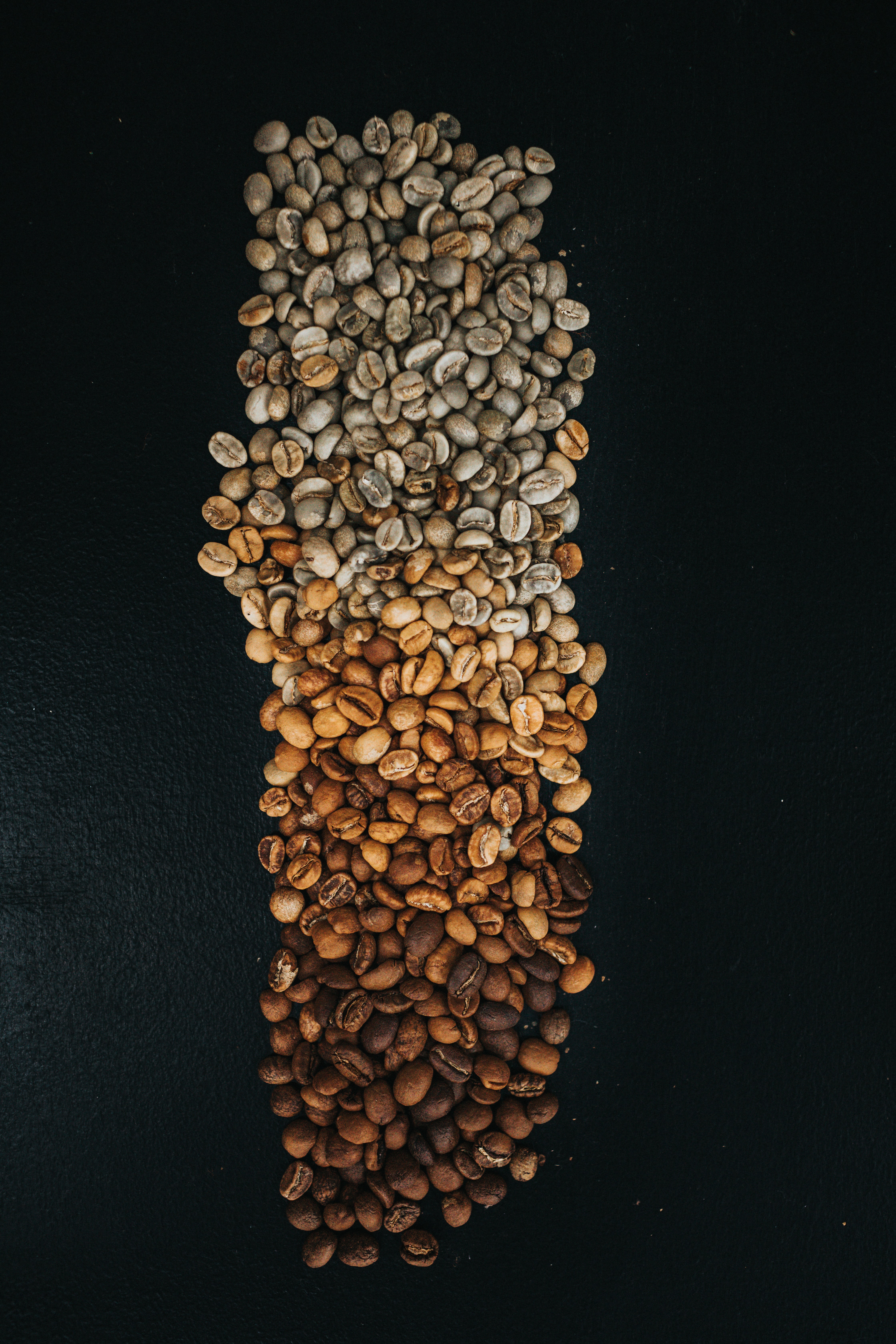coffee beans, coffee, food, brown, gradient, grains, grain