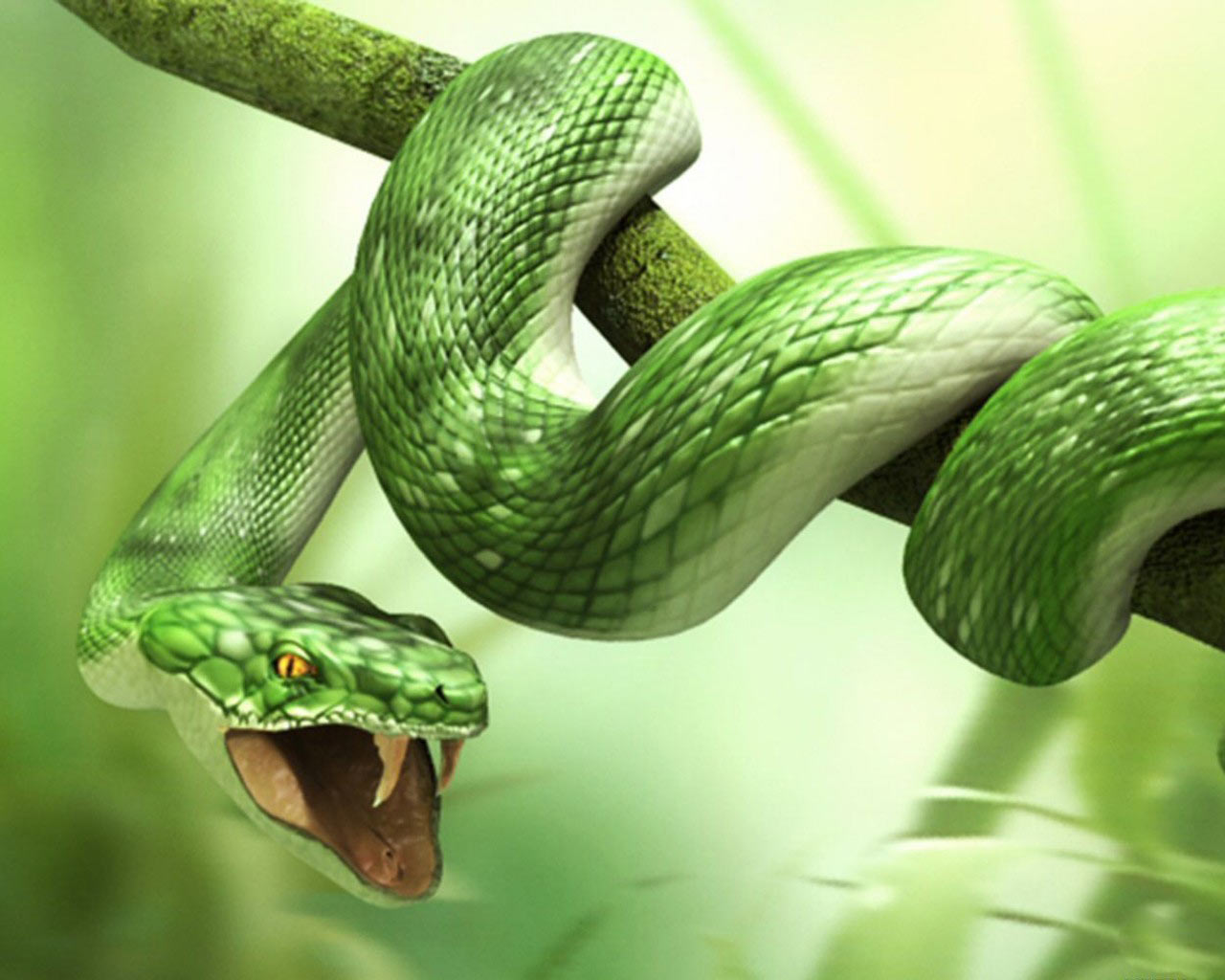 snake, animal UHD