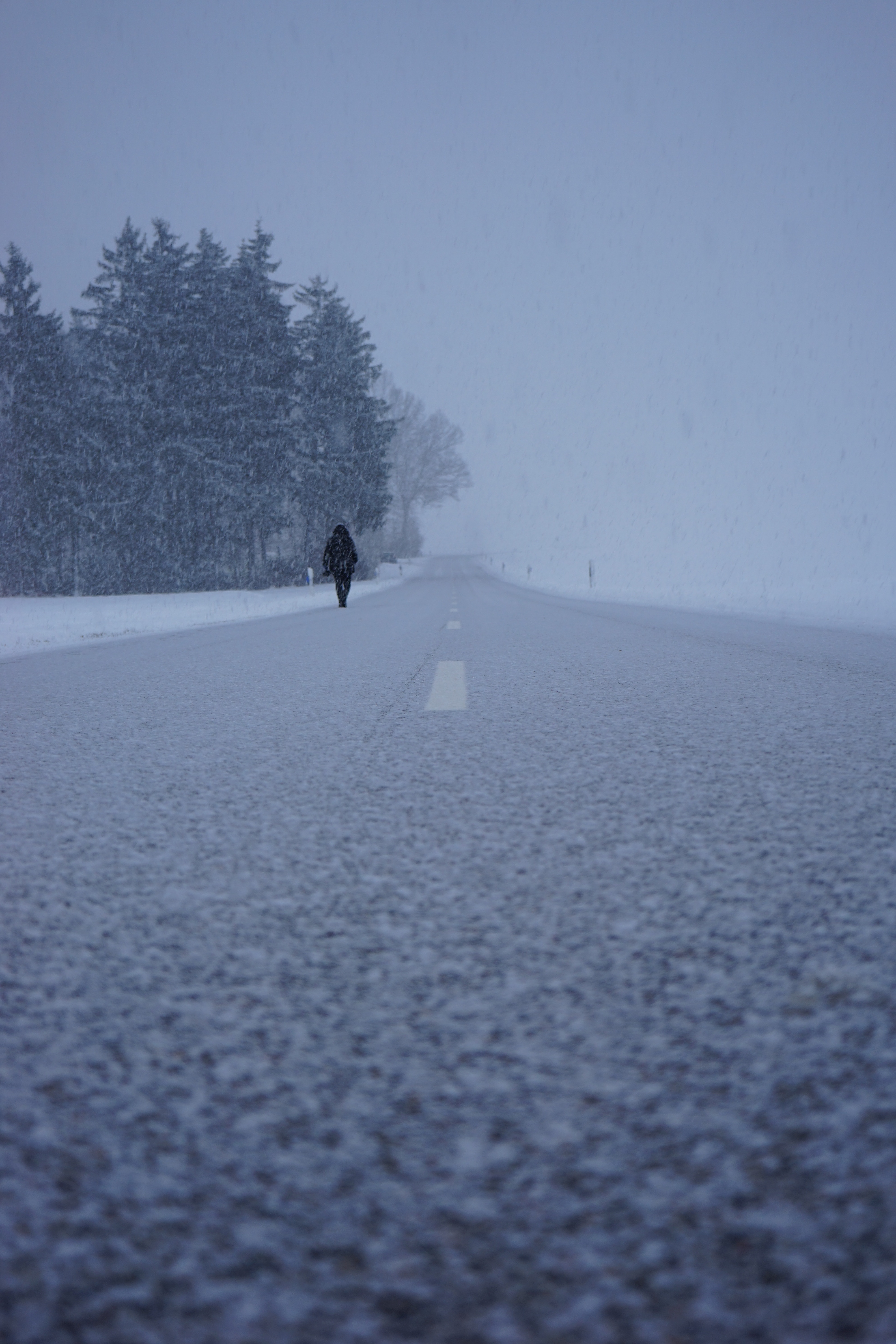 80408 download wallpaper winter, nature, silhouette, road, fog, snowstorm, snowfall screensavers and pictures for free