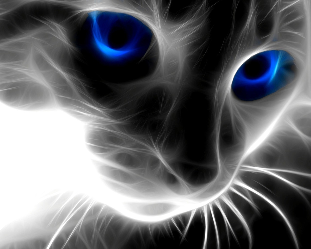 3054 descargar fondo de pantalla imágenes, gatos: protectores de pantalla e imágenes gratis