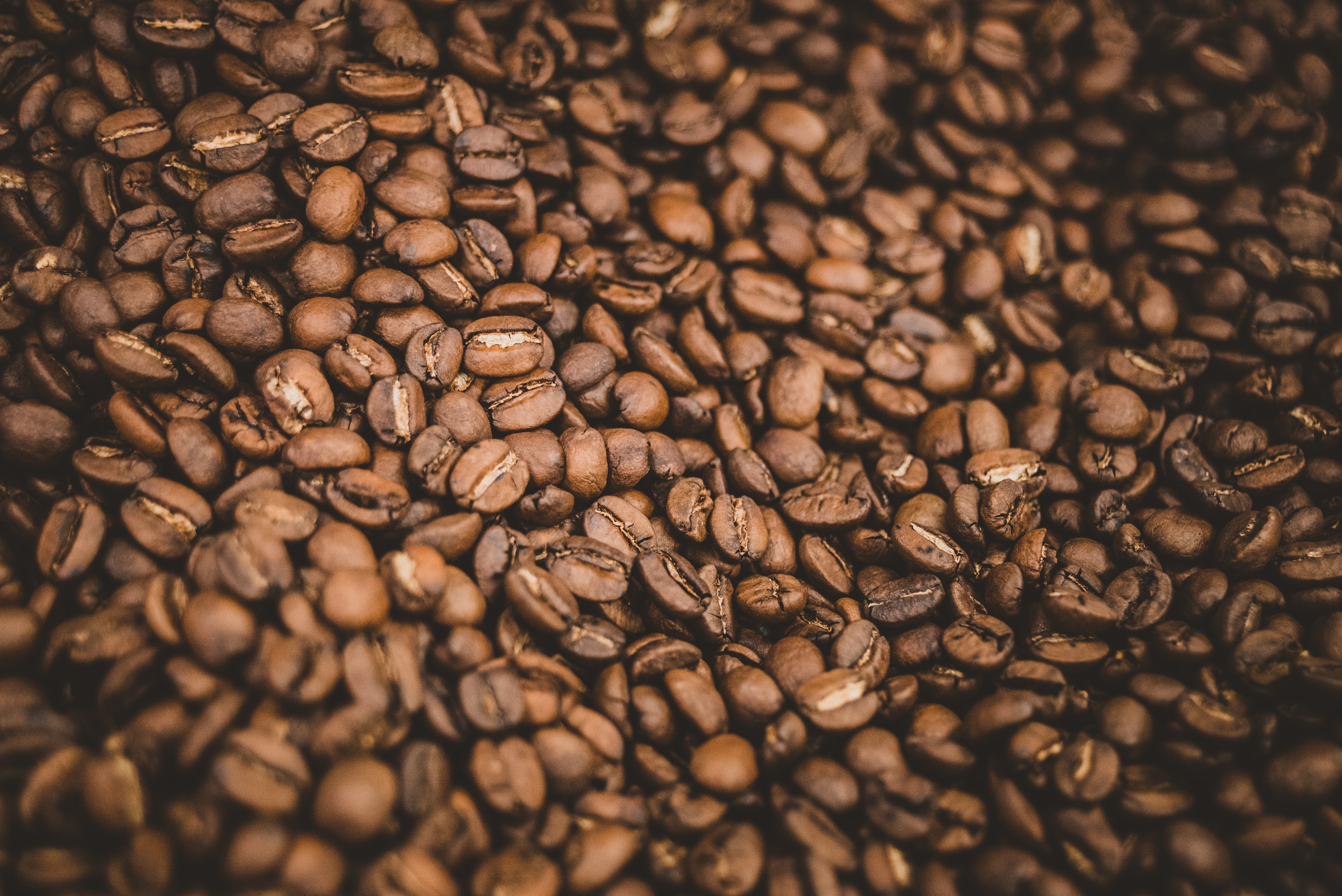 coffee beans, coffee, food, macro, brown, grains, grain QHD