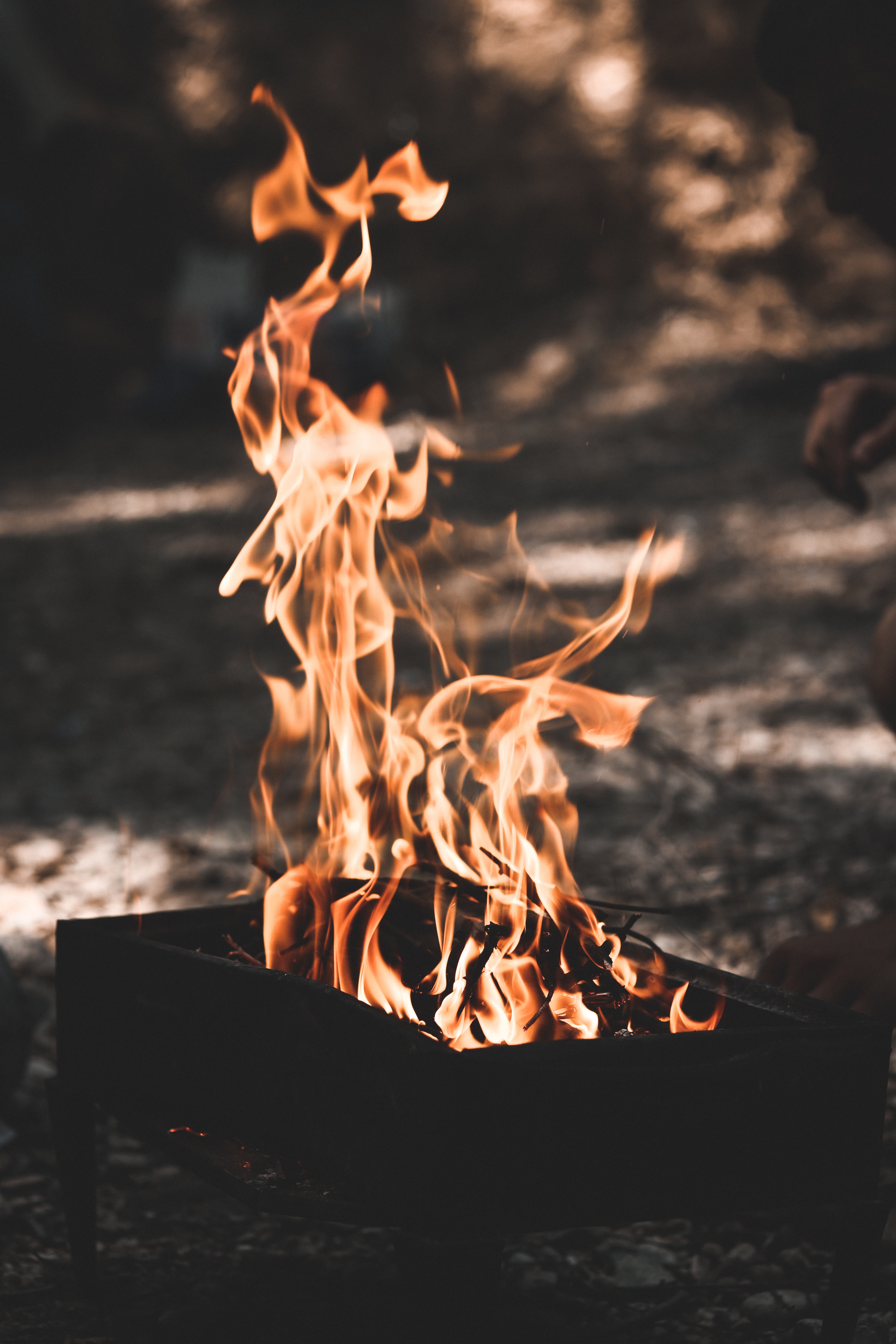 bonfire, fire, dark, flame, barbecue, brazier