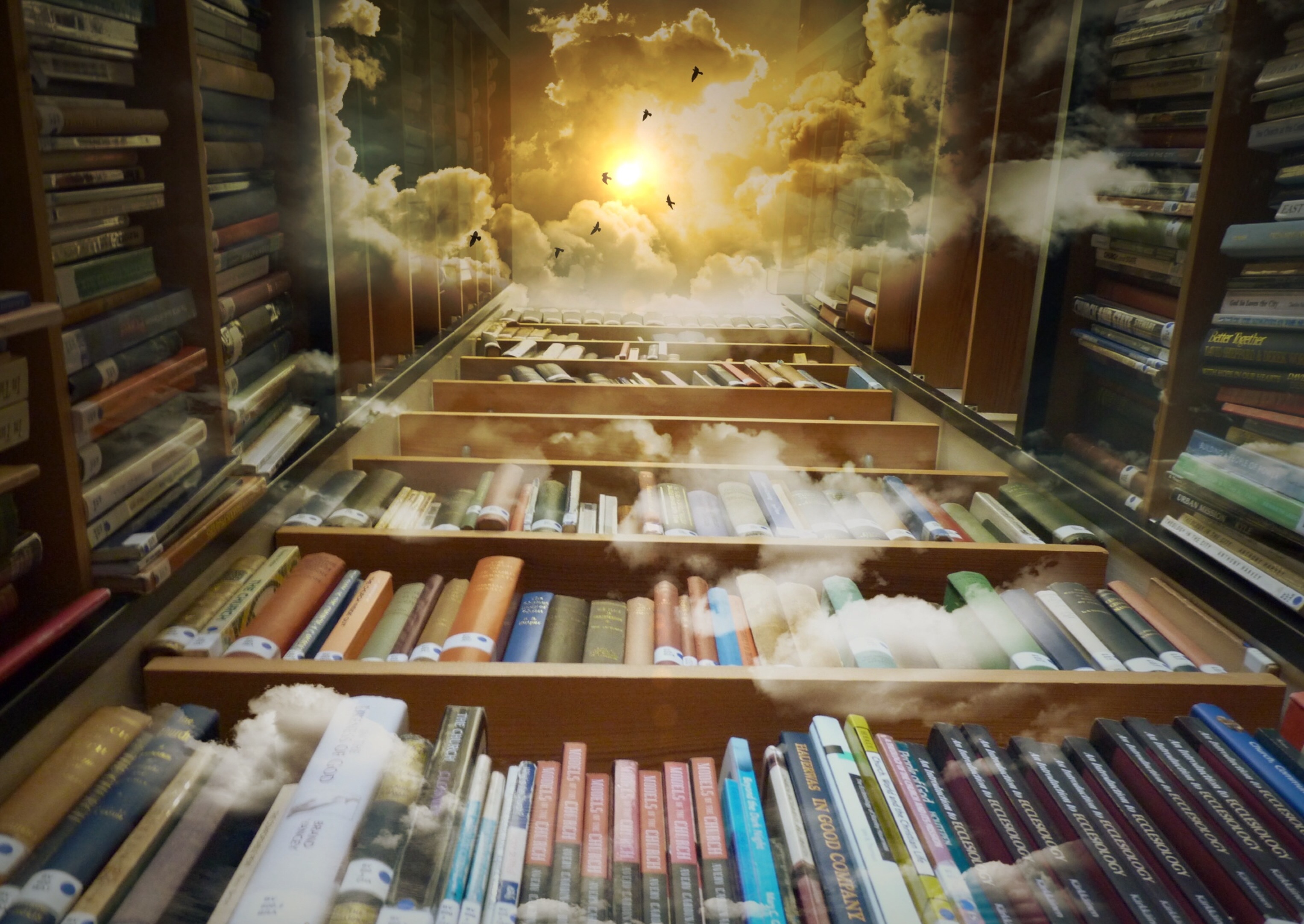 shelves, miscellanea, books, clouds, miscellaneous, flight, photoshop, reading, library