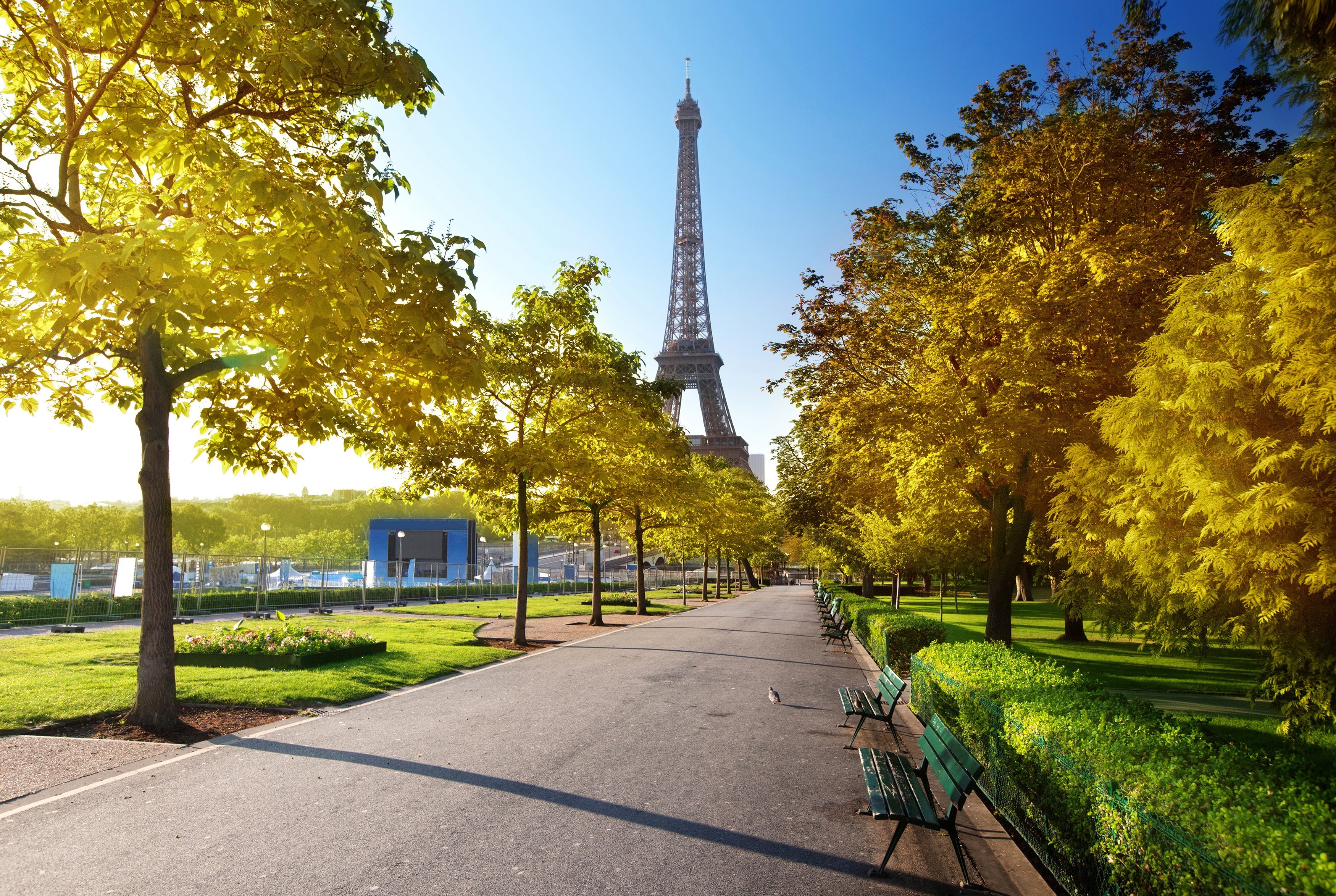 paris, eiffel tower, fall, man made, france, alley, sunlight, monuments Free Stock Photo