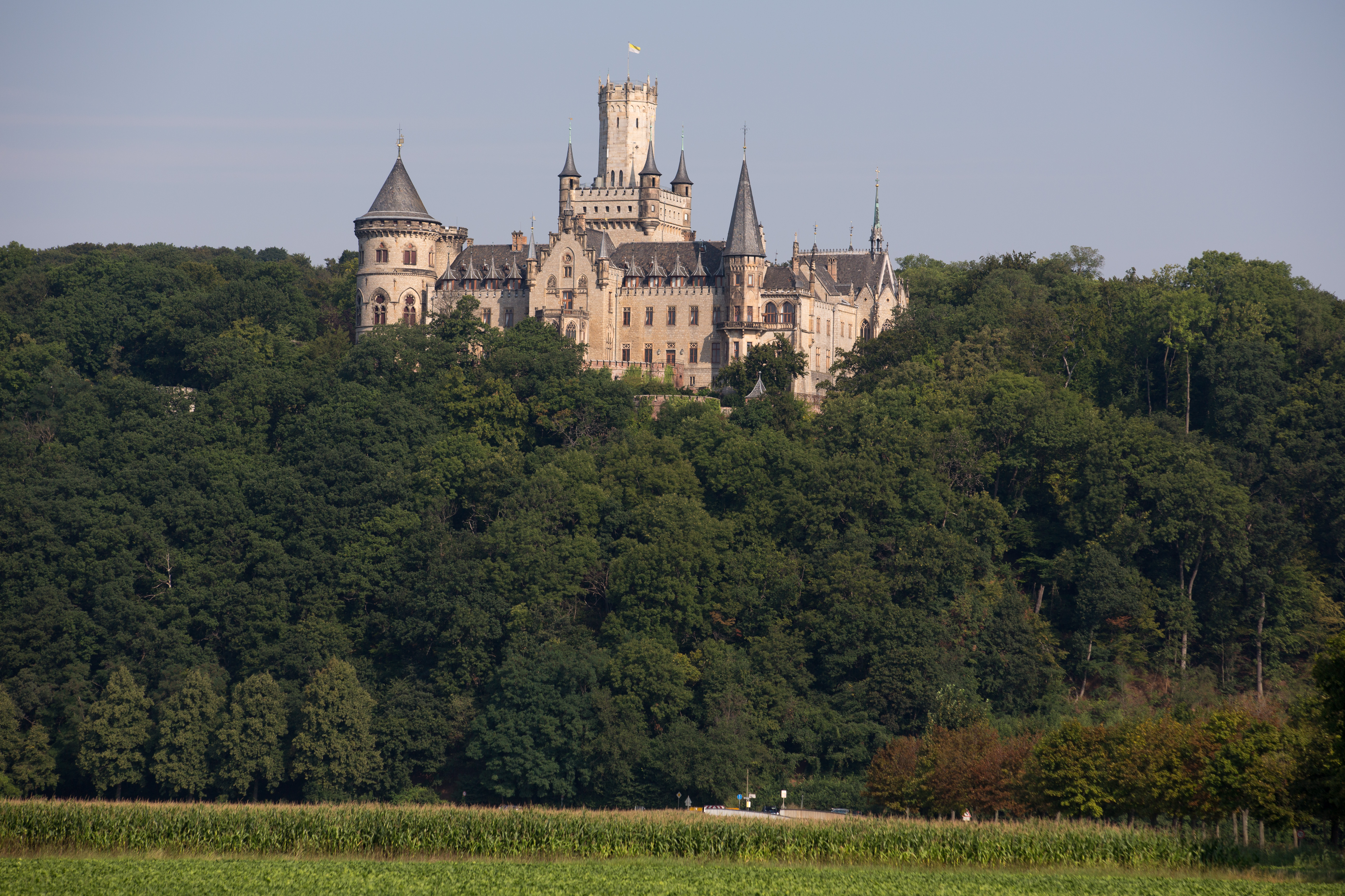 замок саксонских королей германия