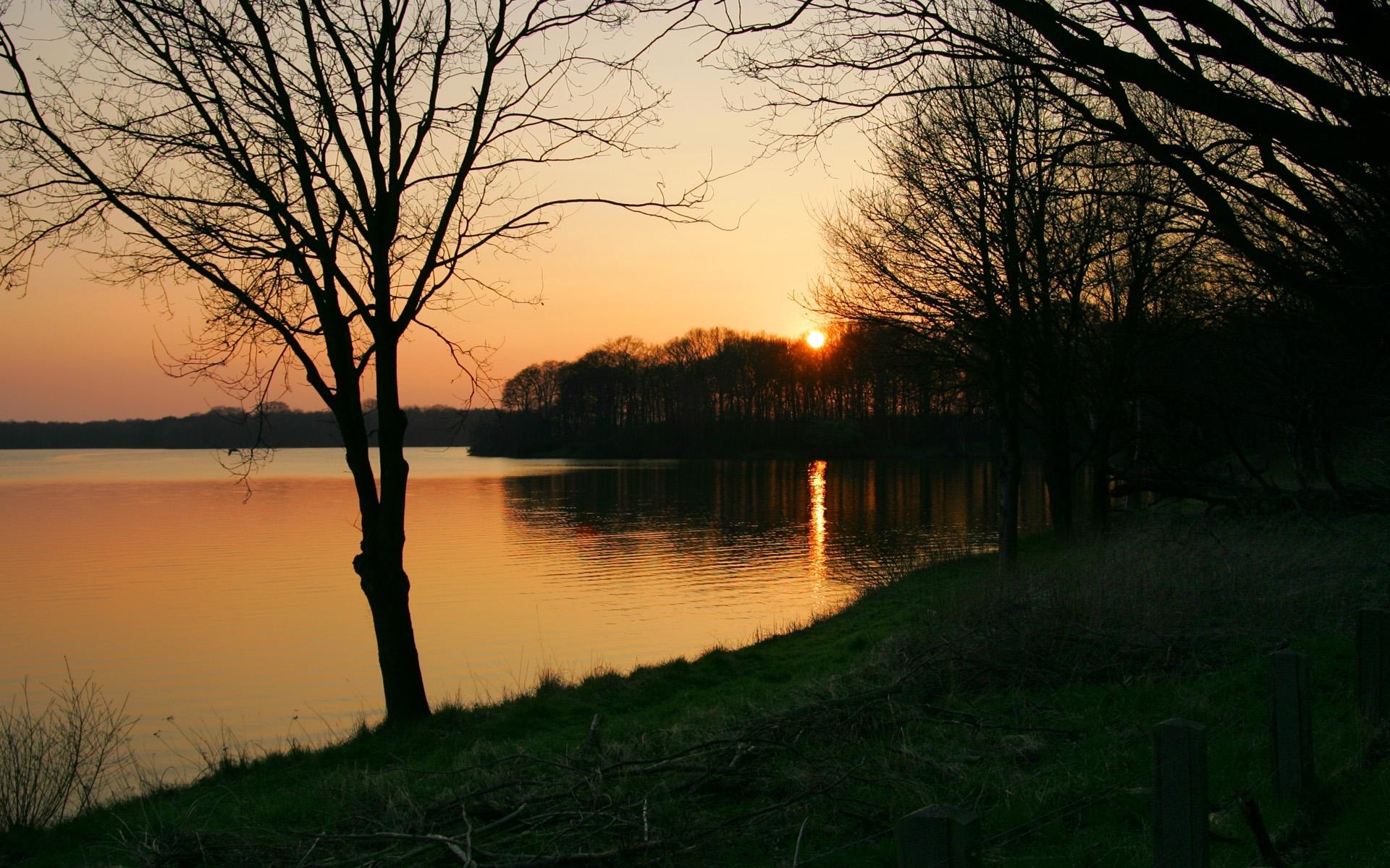 landscape, trees, sunset, sun, lakes phone background