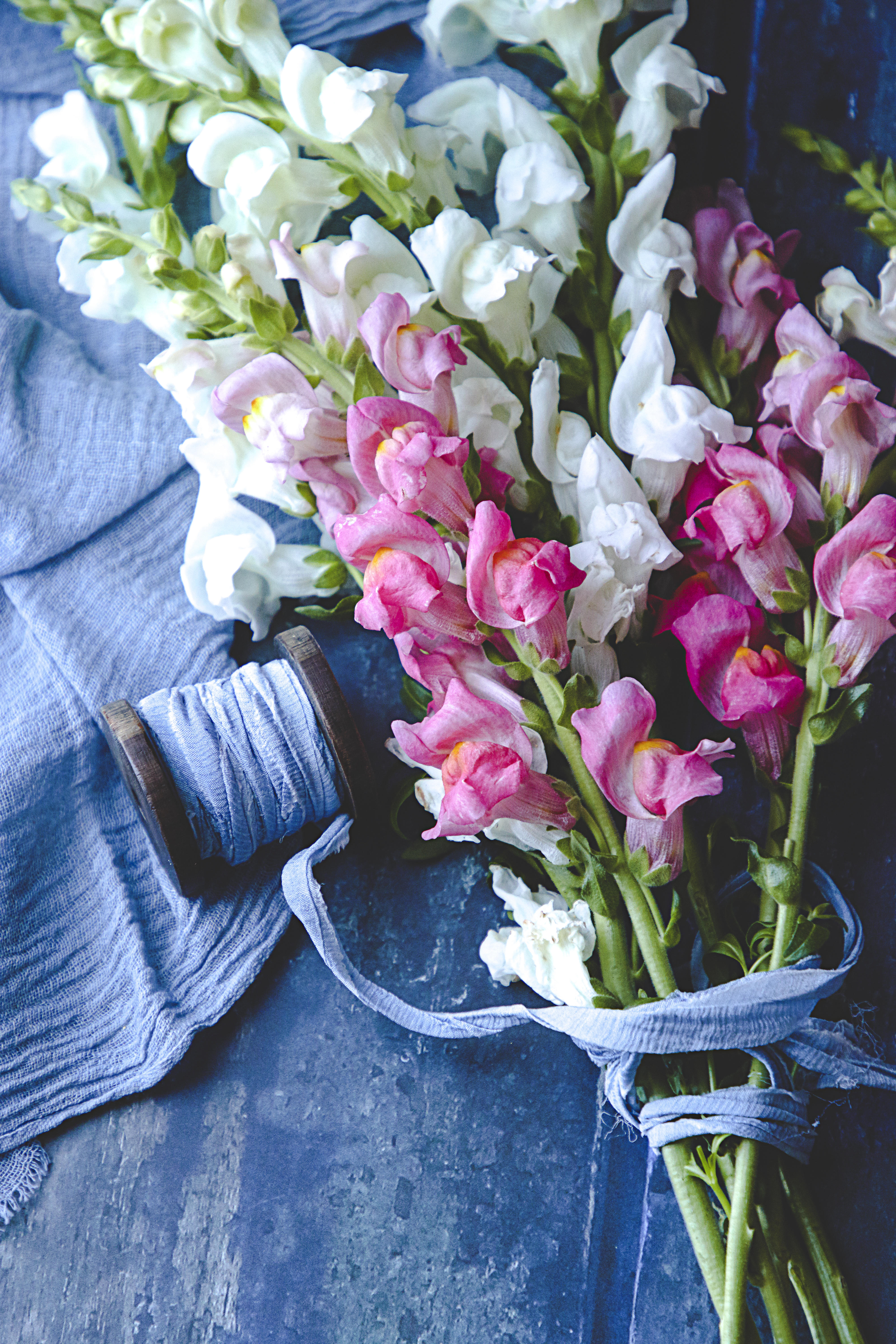 Laden Sie das Blumen, Rosa, Strauß, Bouquet, Thread, Faden-Bild kostenlos auf Ihren PC-Desktop herunter