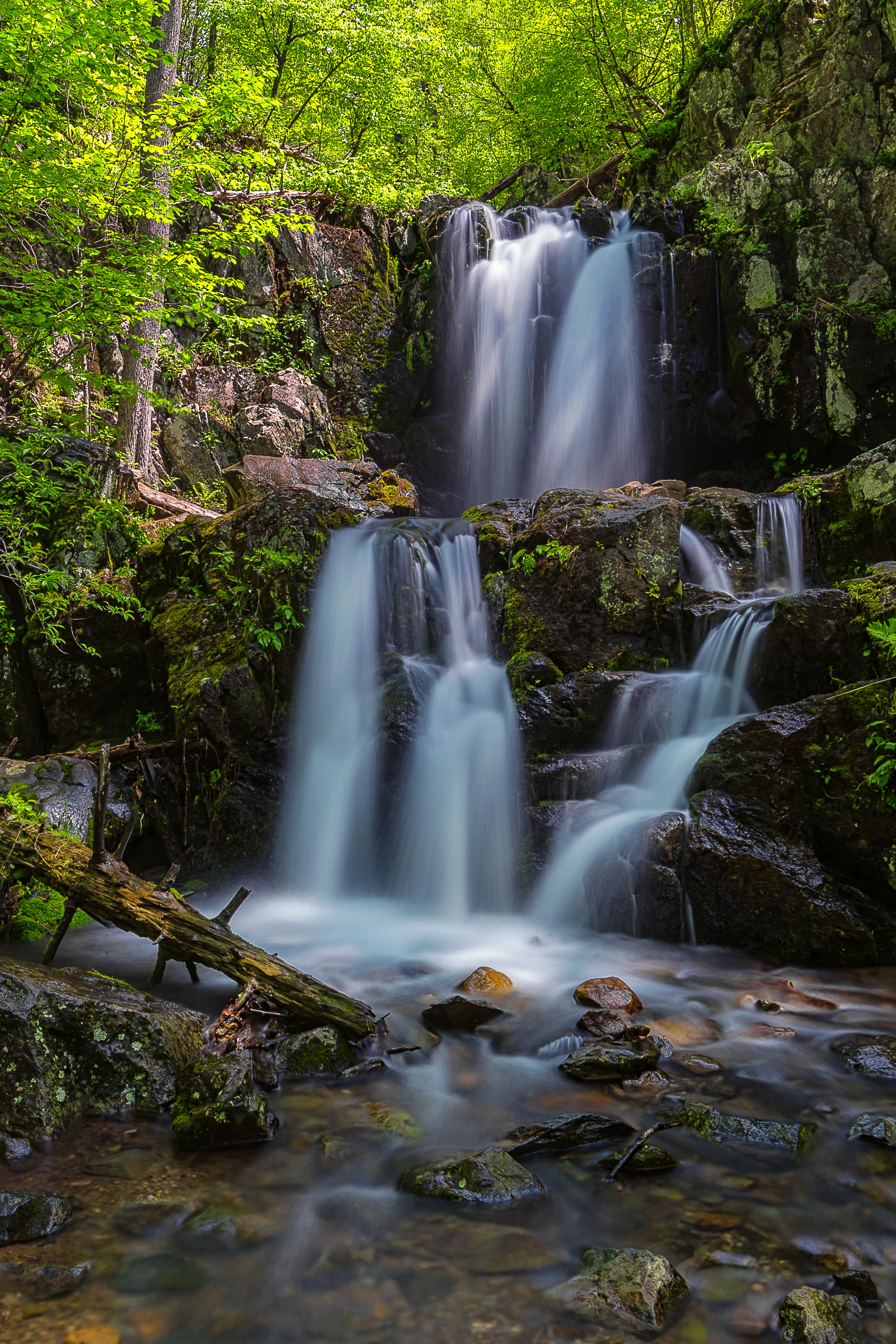 Laden Sie das Natur, Stones, Wasserfall, Fließen, Fluss, Haken-Bild kostenlos auf Ihren PC-Desktop herunter