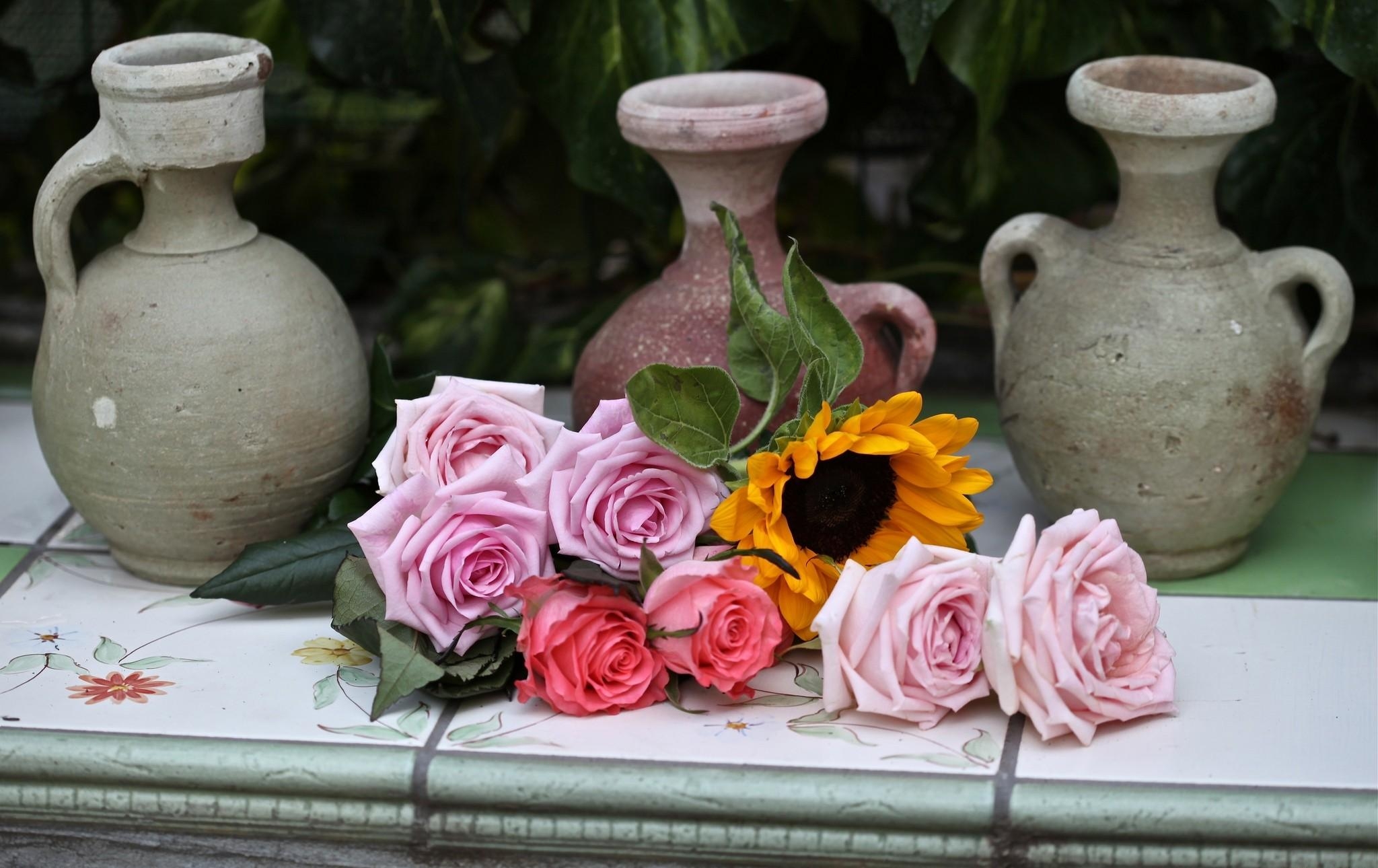 Handy-Wallpaper Blumen, Roses, Seerosen, Sonnenblume, Fliese kostenlos herunterladen.