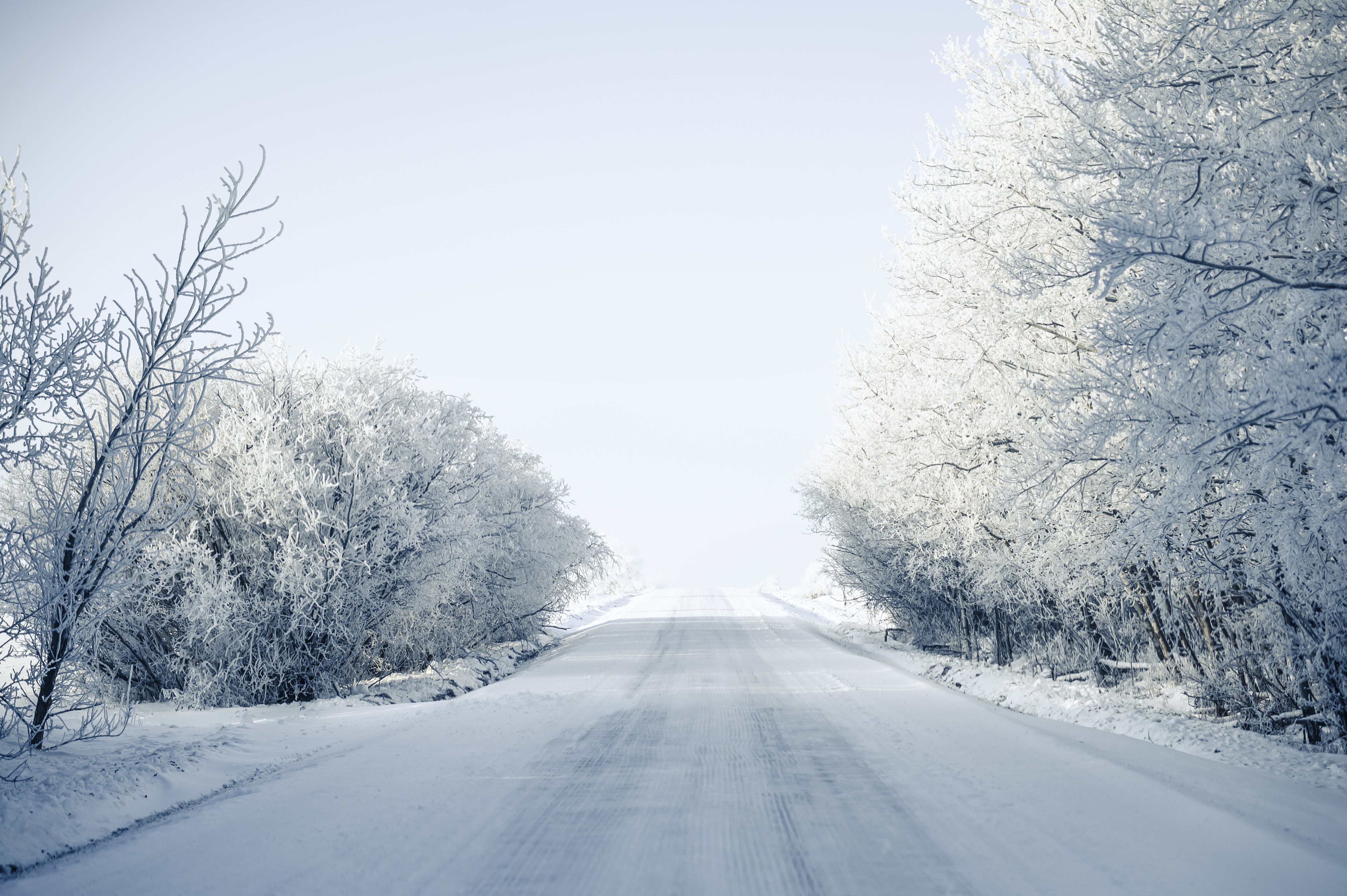 road, snow covered, trees, winter Snow Windows Backgrounds