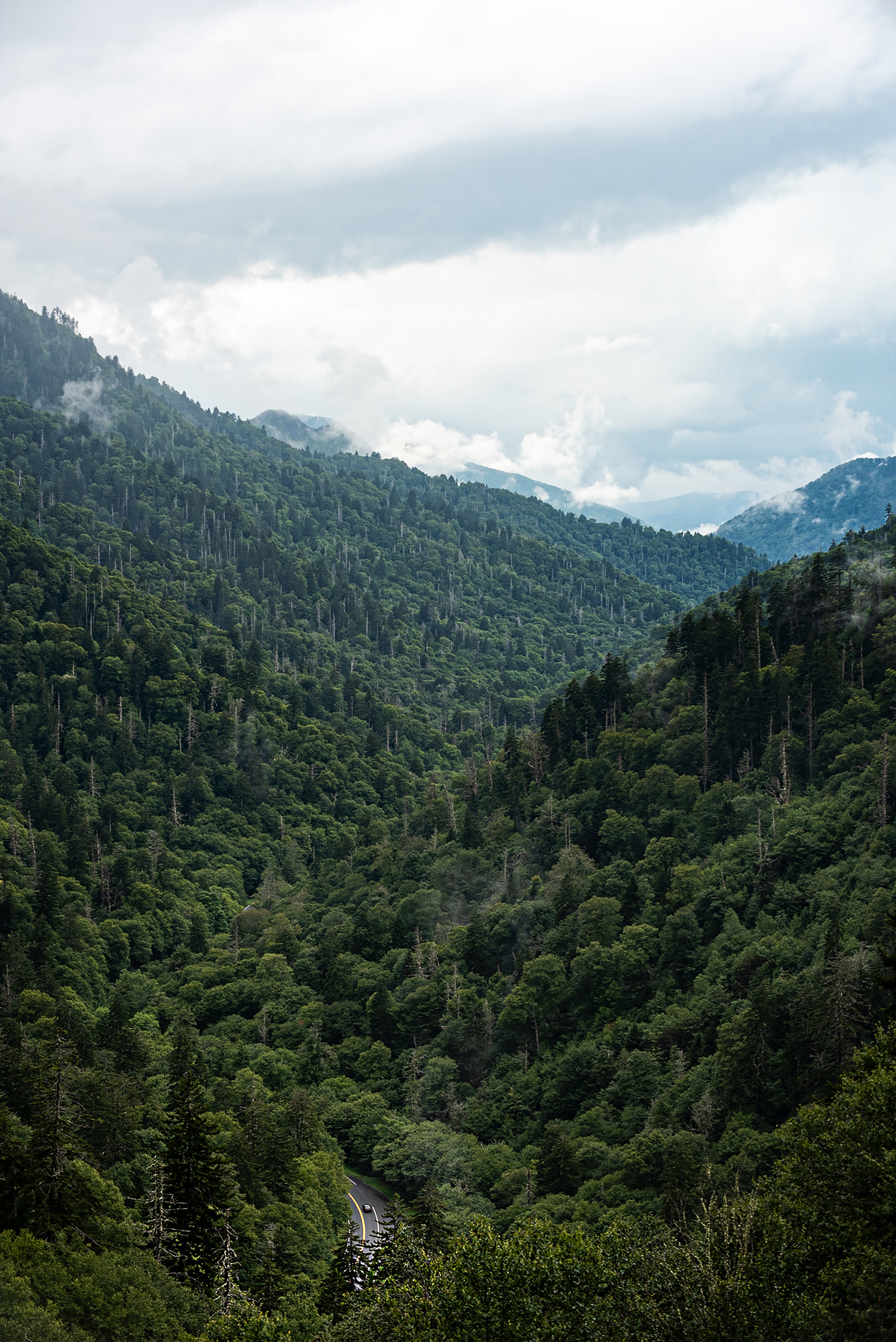 151213 Заставки і шпалери Долина на телефон. Завантажити природа, гори, ліс, дорога картинки безкоштовно
