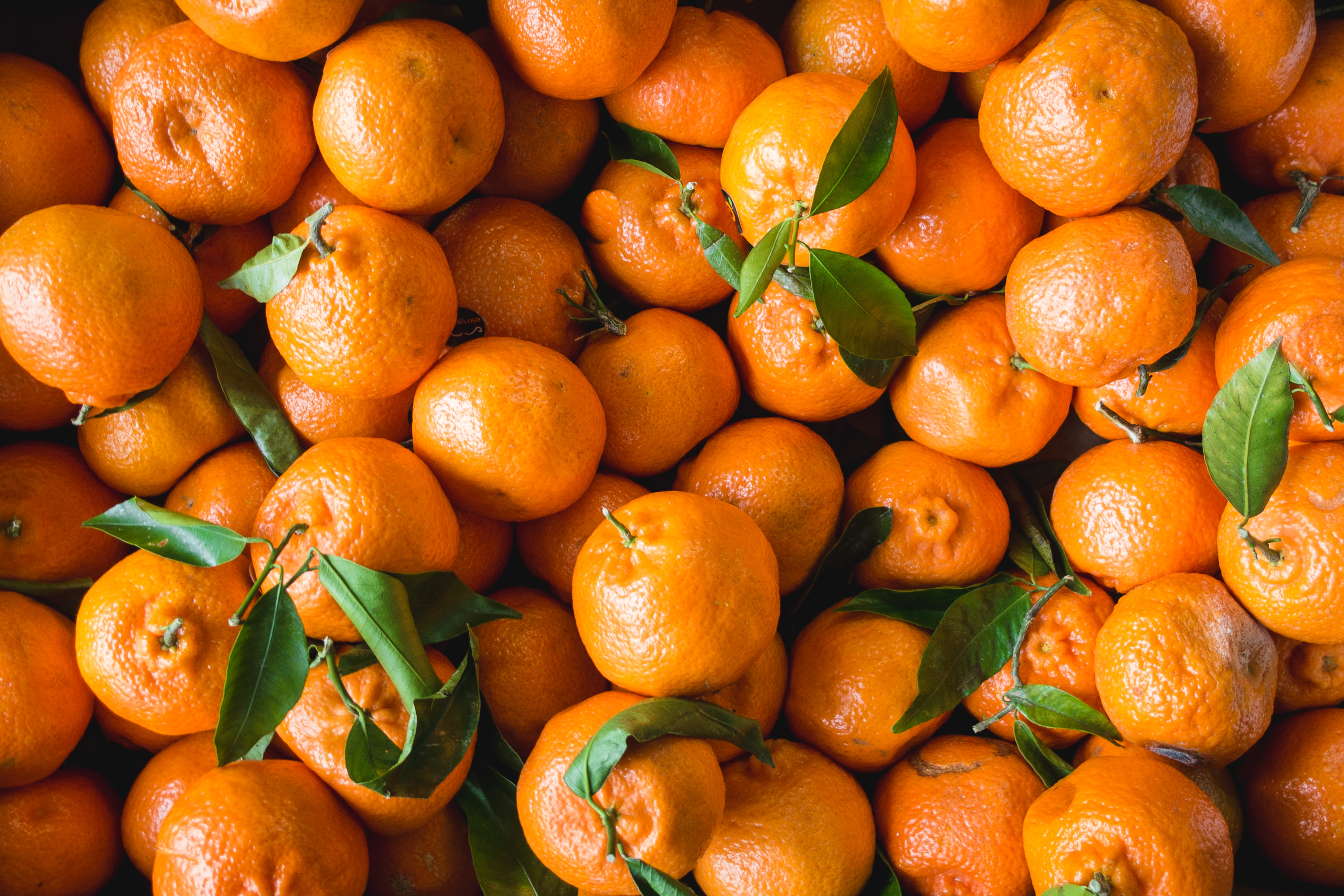 HD wallpaper food, fruits, tangerines, citrus