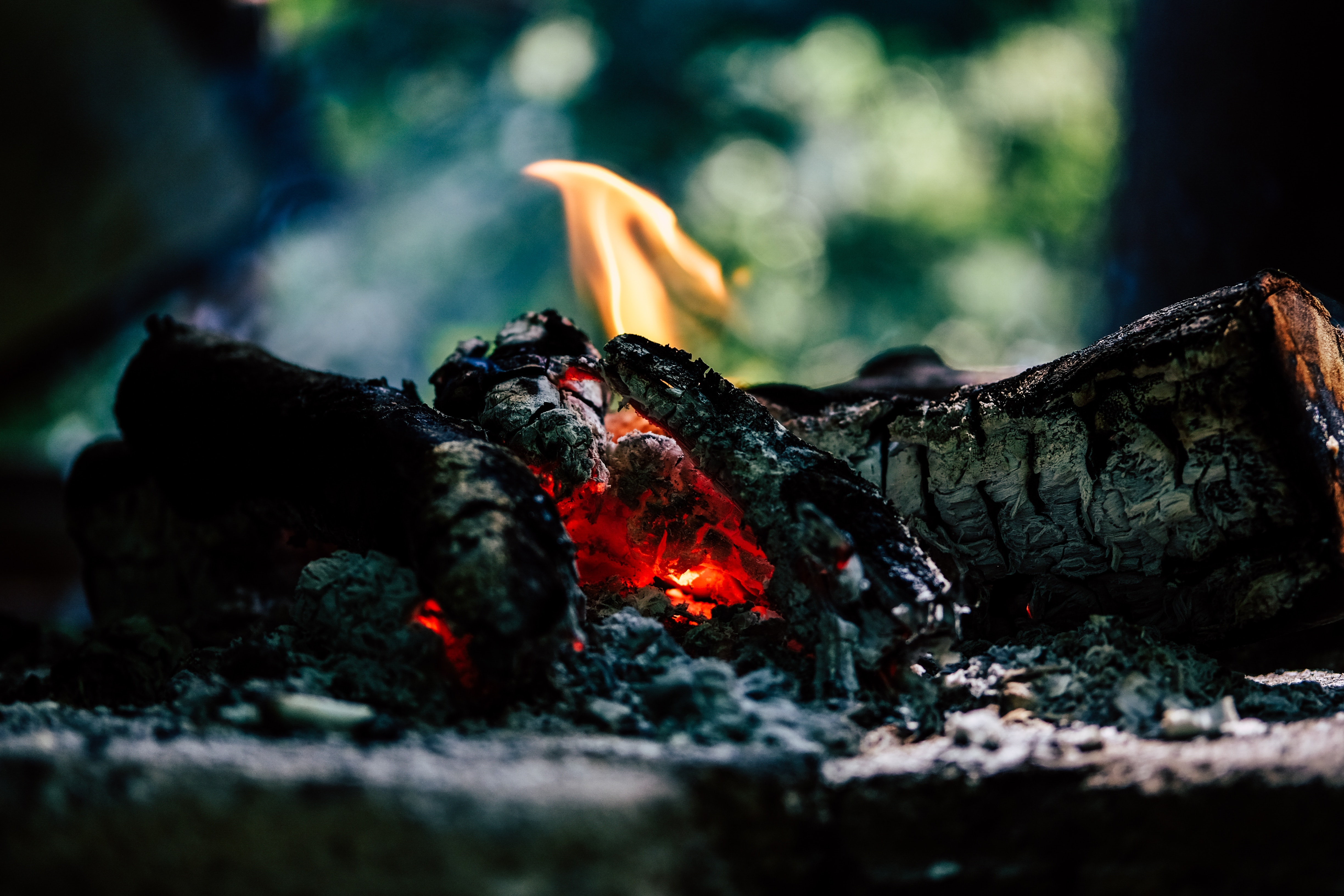Laden Sie das Bonfire, Kohlen, Verschiedenes, Sonstige, Asche, Ash-Bild kostenlos auf Ihren PC-Desktop herunter