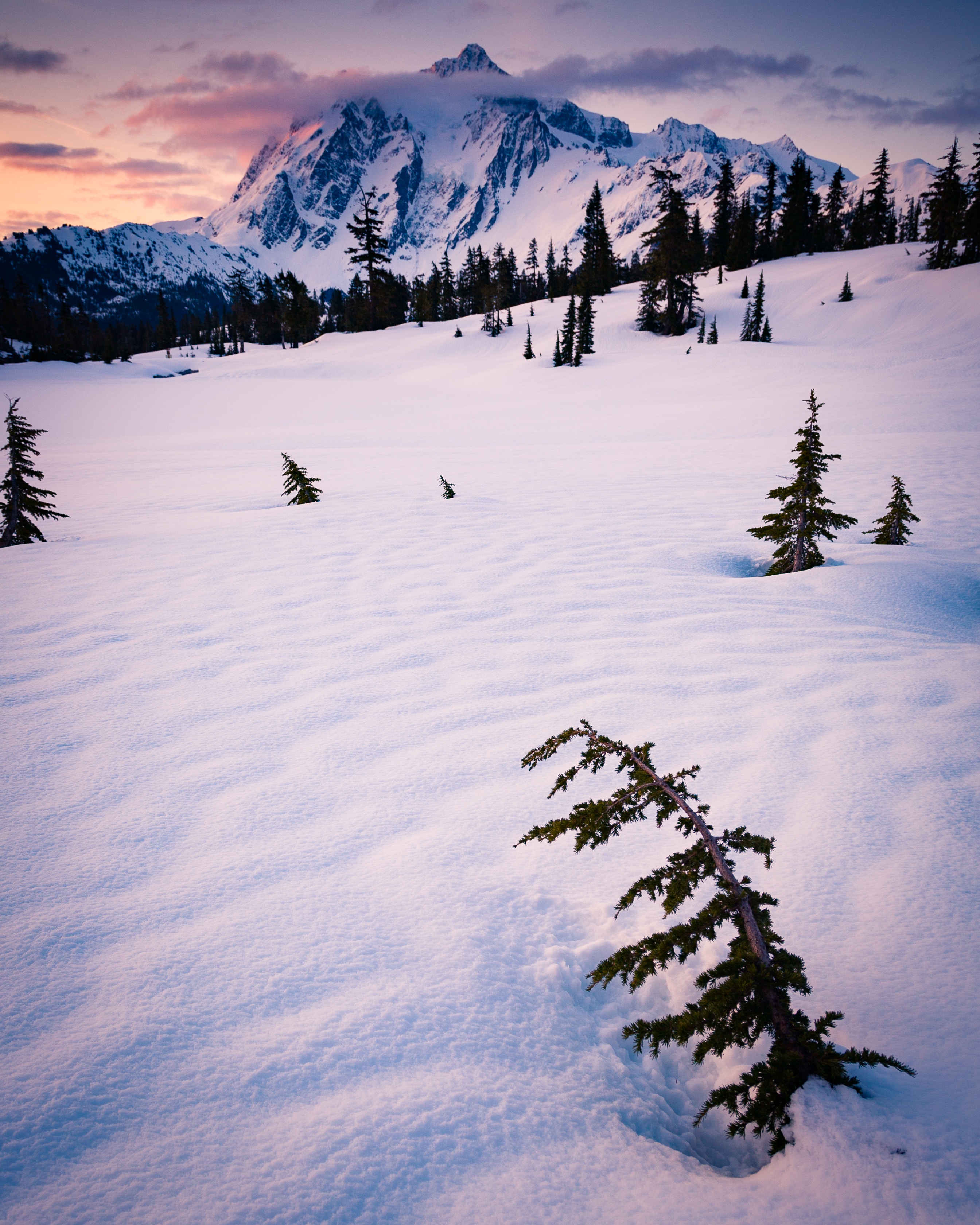 116092 завантажити шпалери зима, природа, дерева, хмари, сніг, гора - заставки і картинки безкоштовно