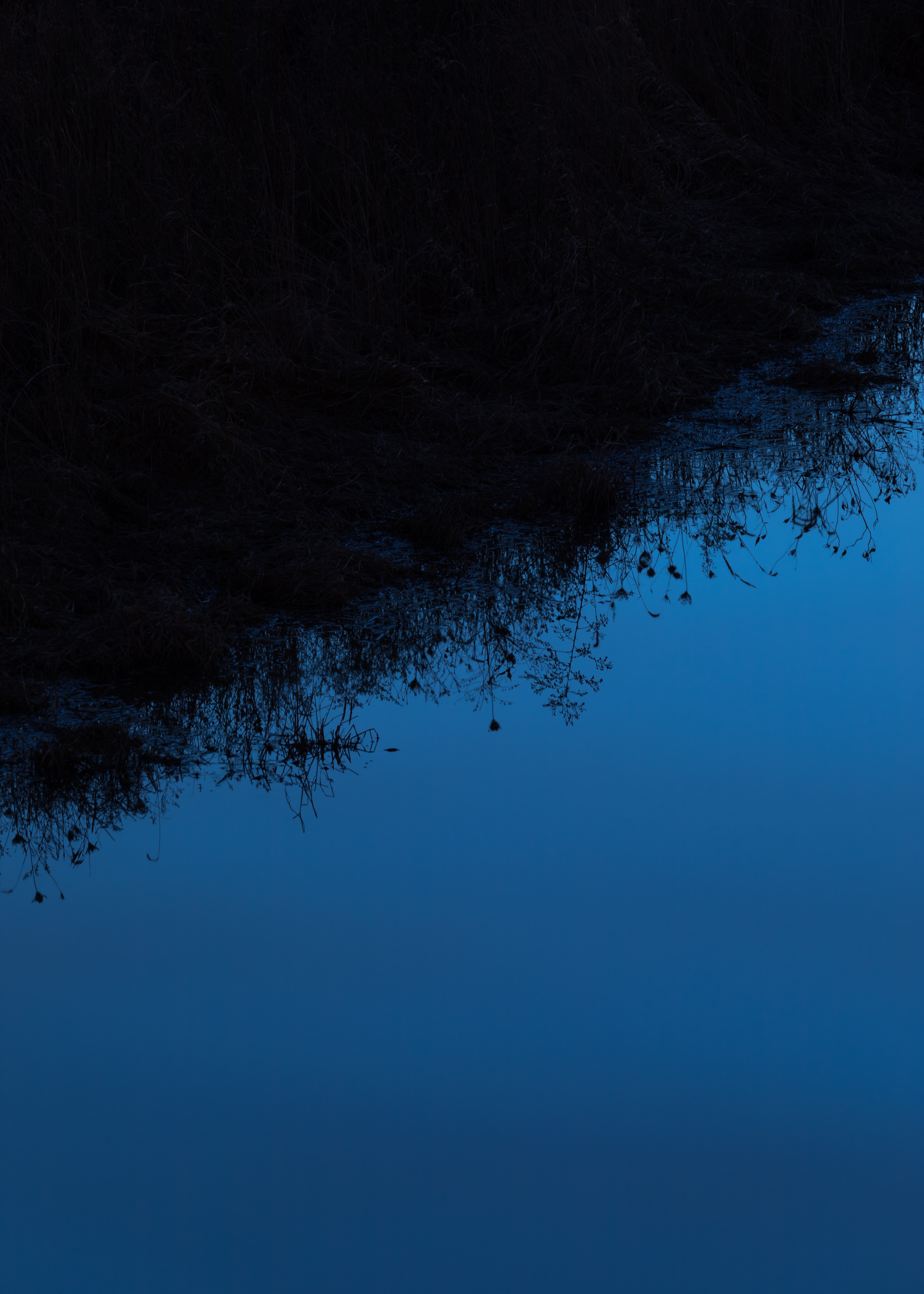 reflection, sky, grass, dark Phone Wallpaper