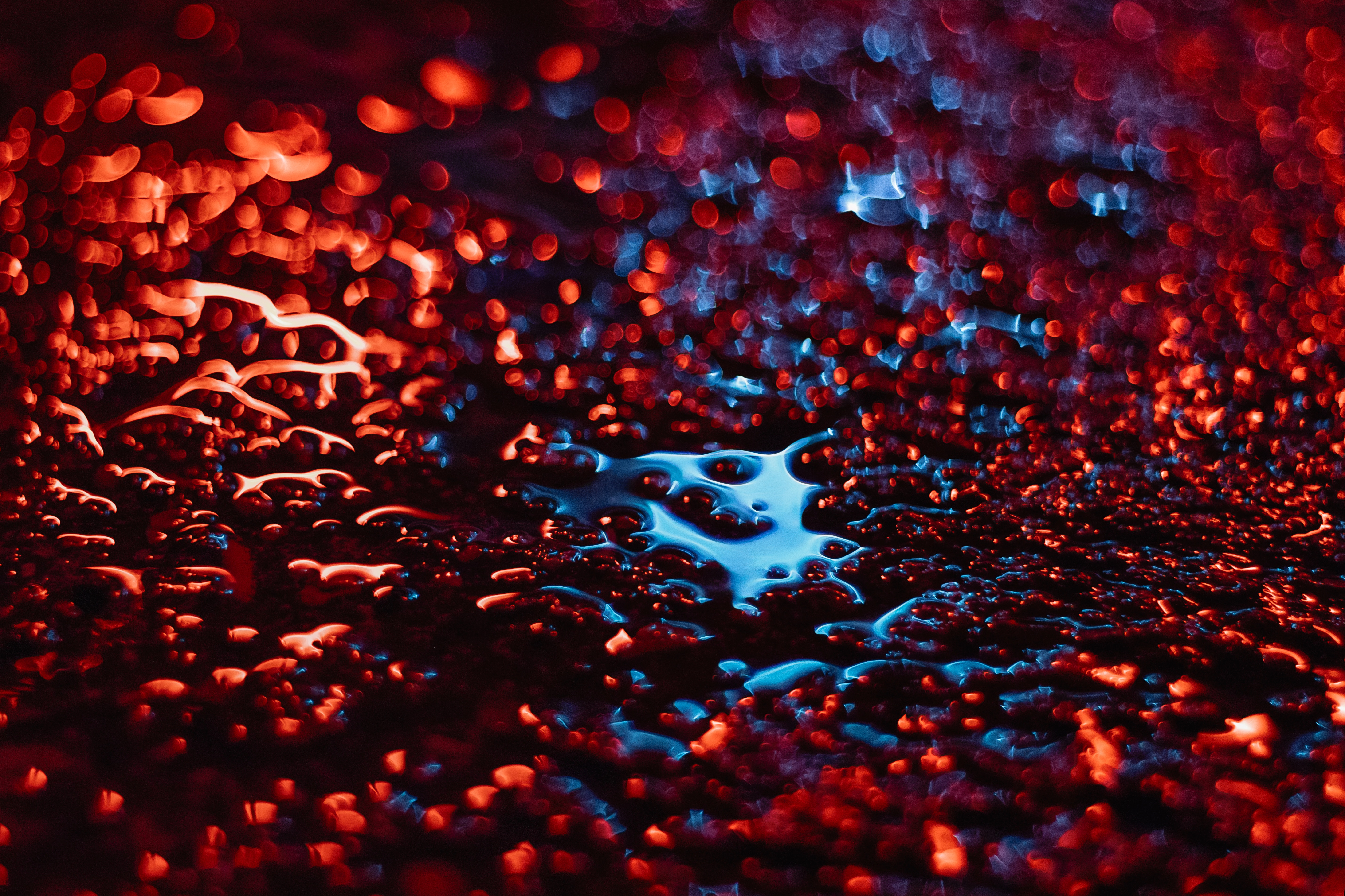 iPhone background liquid, boquet, glare, blur