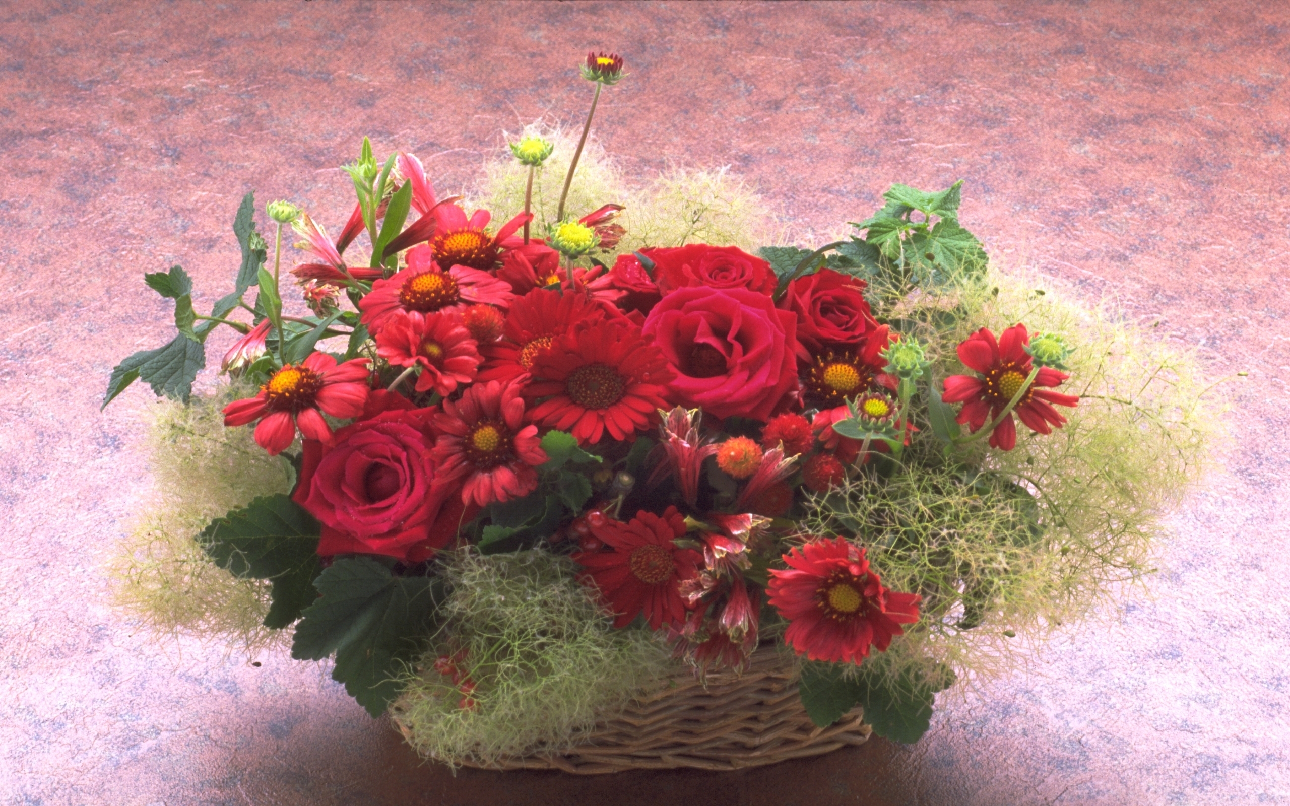 Handy-Wallpaper Feiertage, Pflanzen, Blumen, Roses, Chrysantheme, Bouquets kostenlos herunterladen.