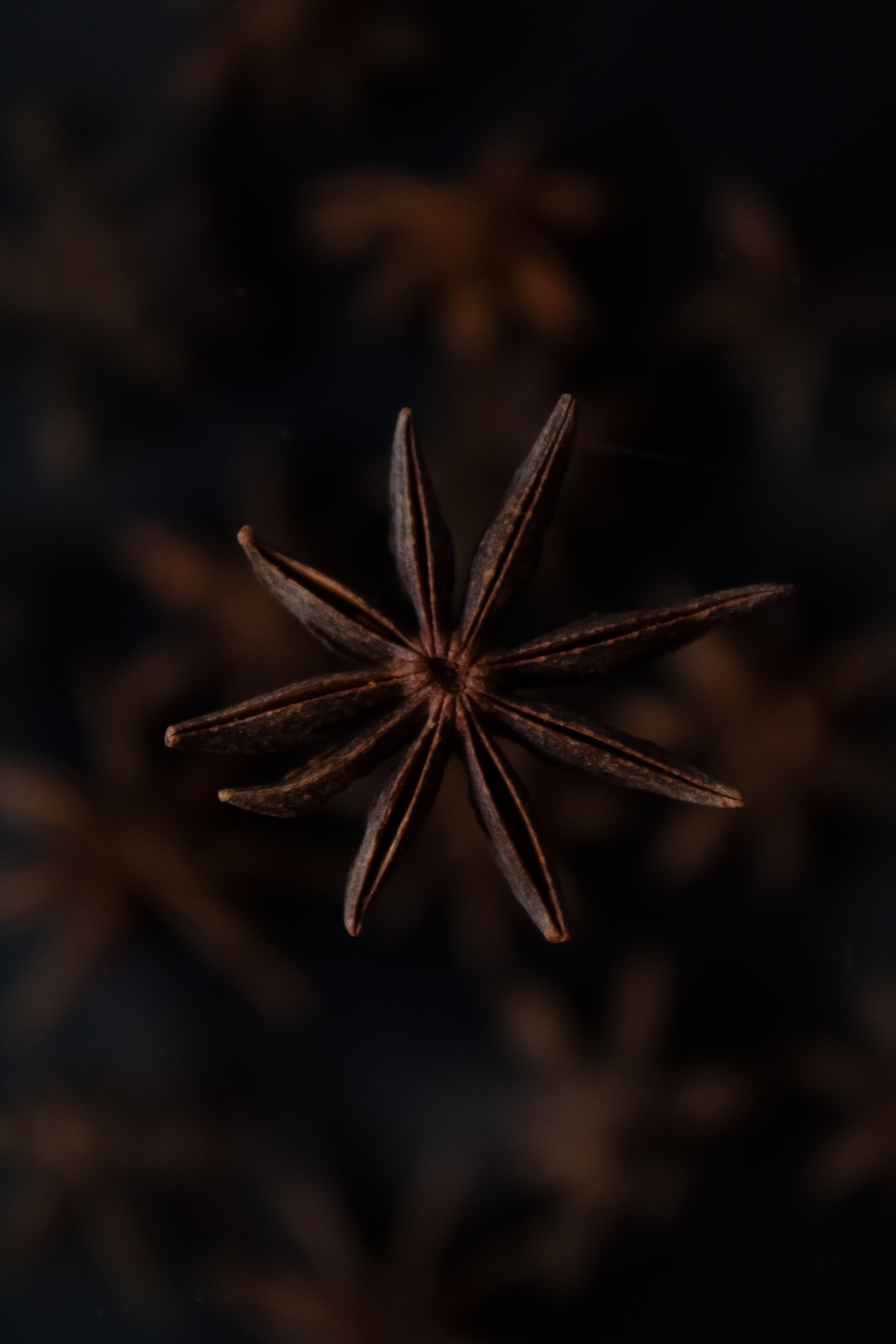 143395 download wallpaper cinnamon, macro, brown, focus, spice screensavers and pictures for free