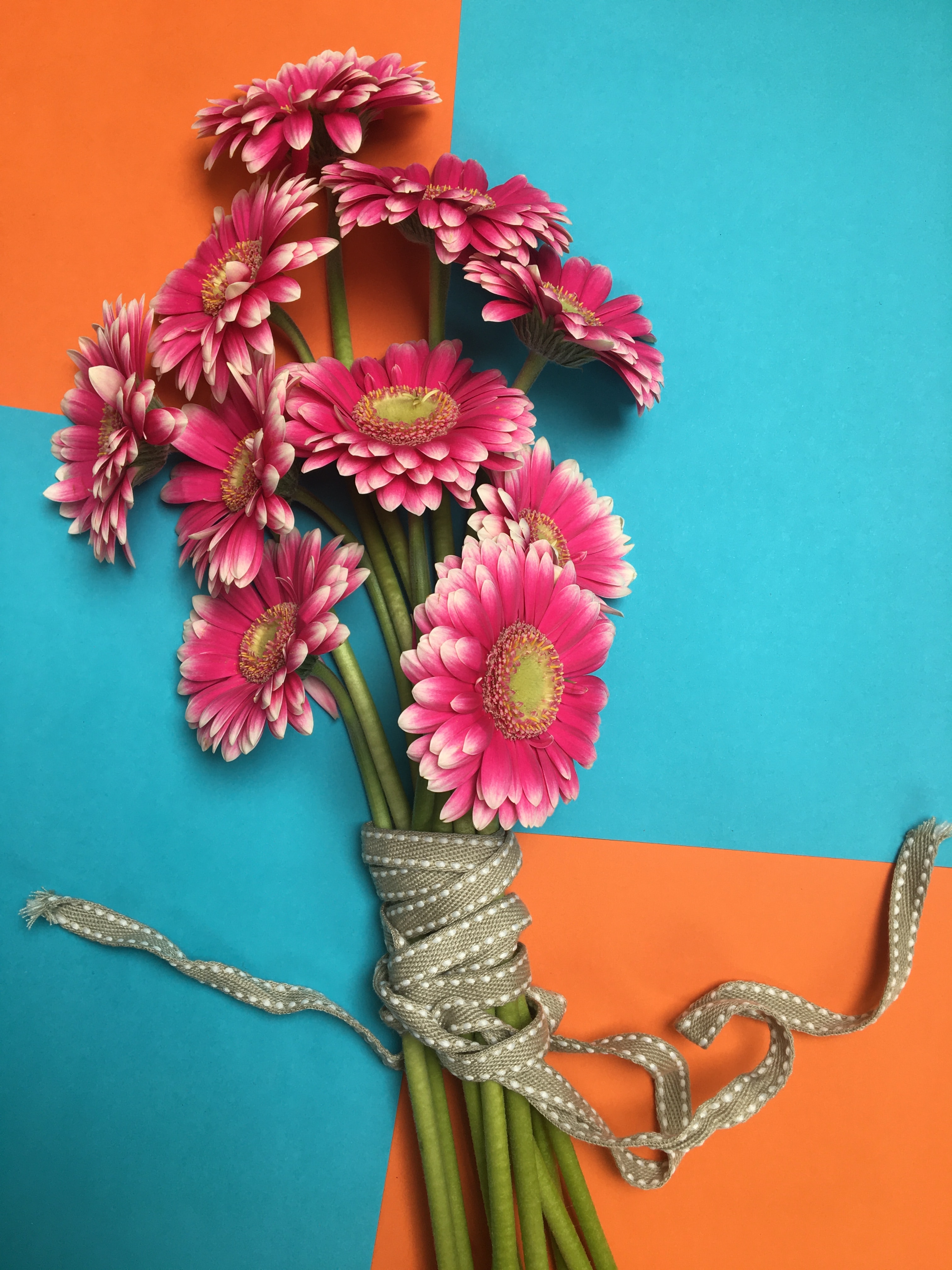 Laden Sie das Blumen, Gerbera, Blütenblätter, Strauß, Bouquet-Bild kostenlos auf Ihren PC-Desktop herunter