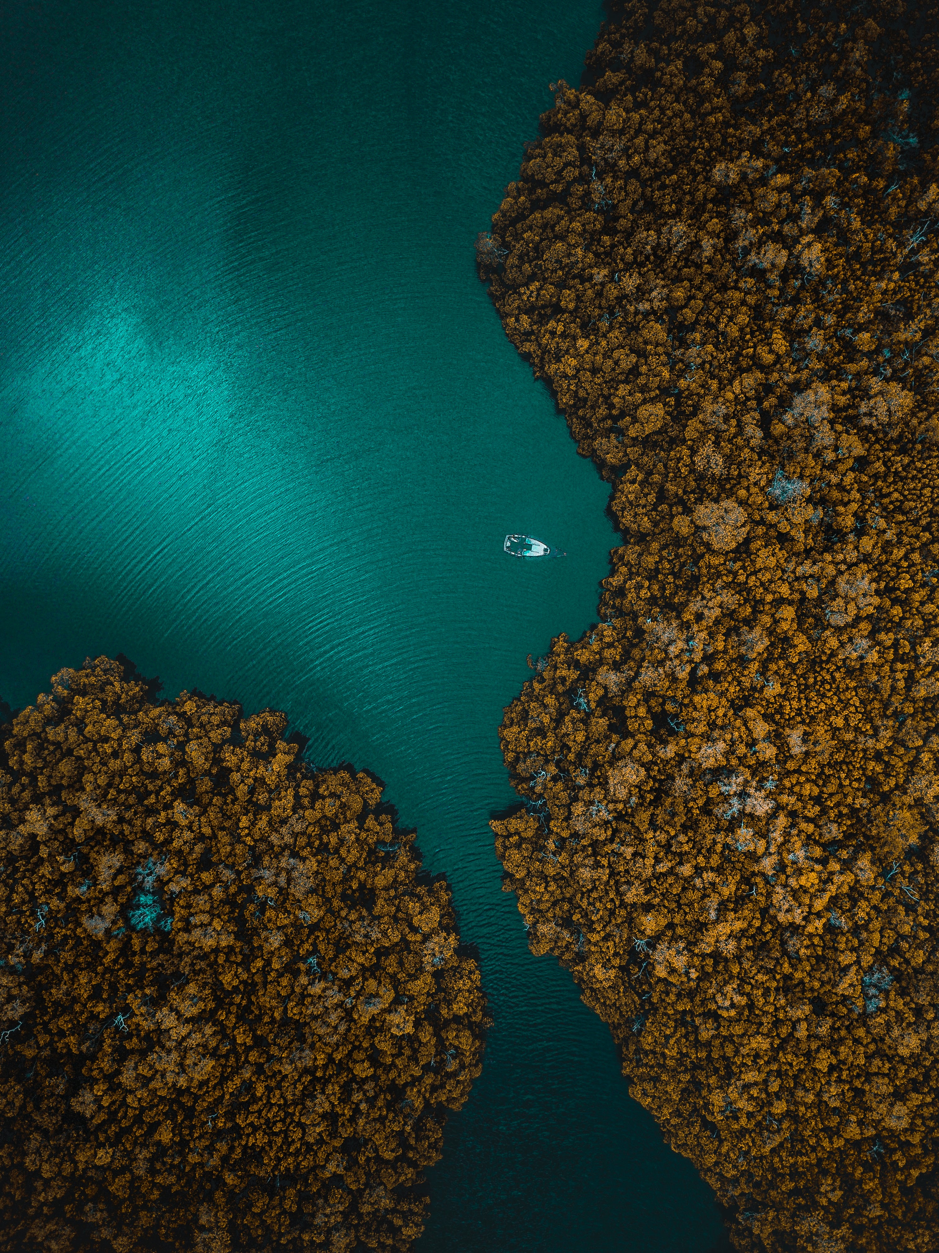 ocean, view from above, nature, island