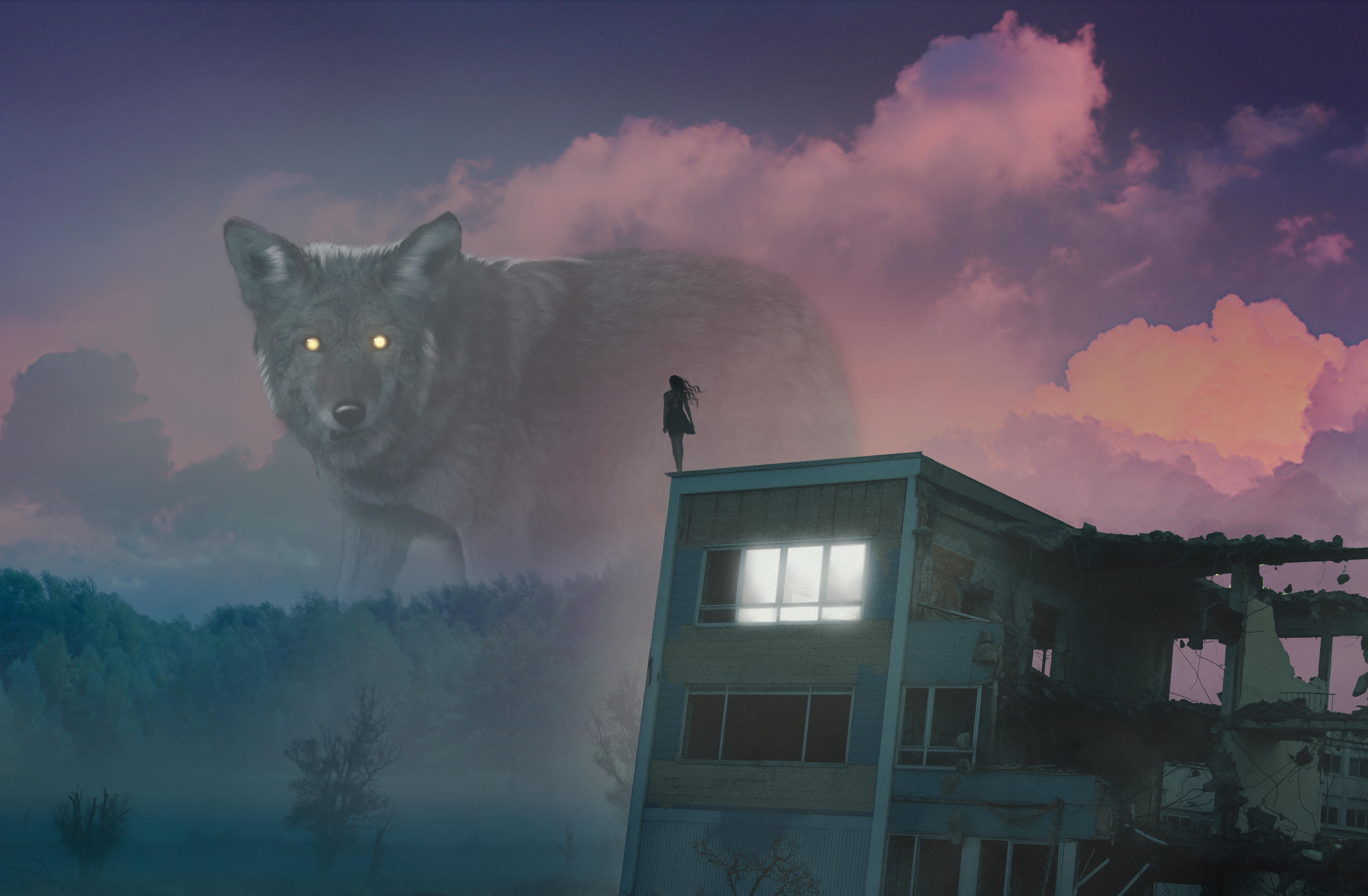 girl, art, fog, wolf, roof, illusion, giant wallpapers for tablet