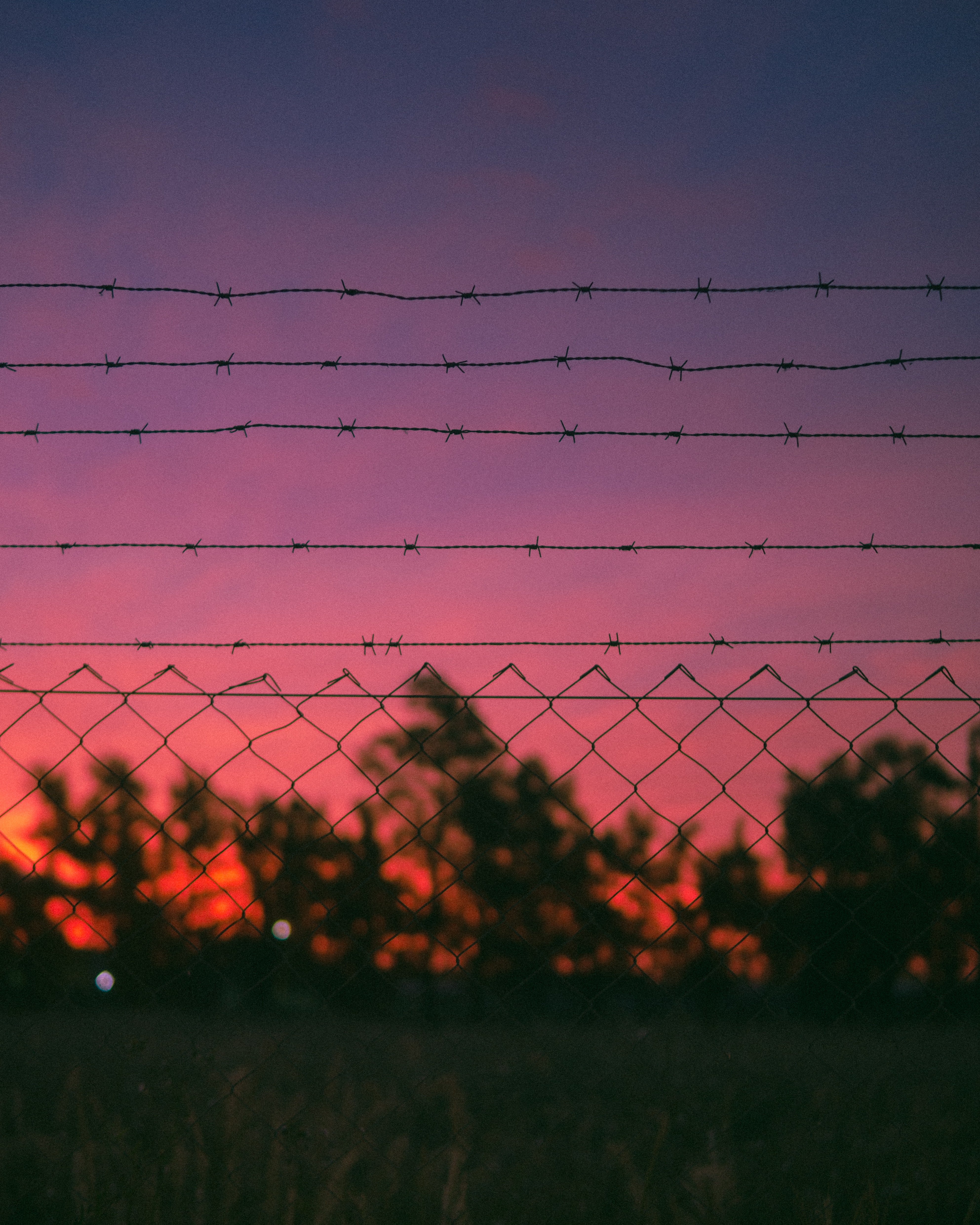 nature, sunset, metal, metallic, wire, barbed wire