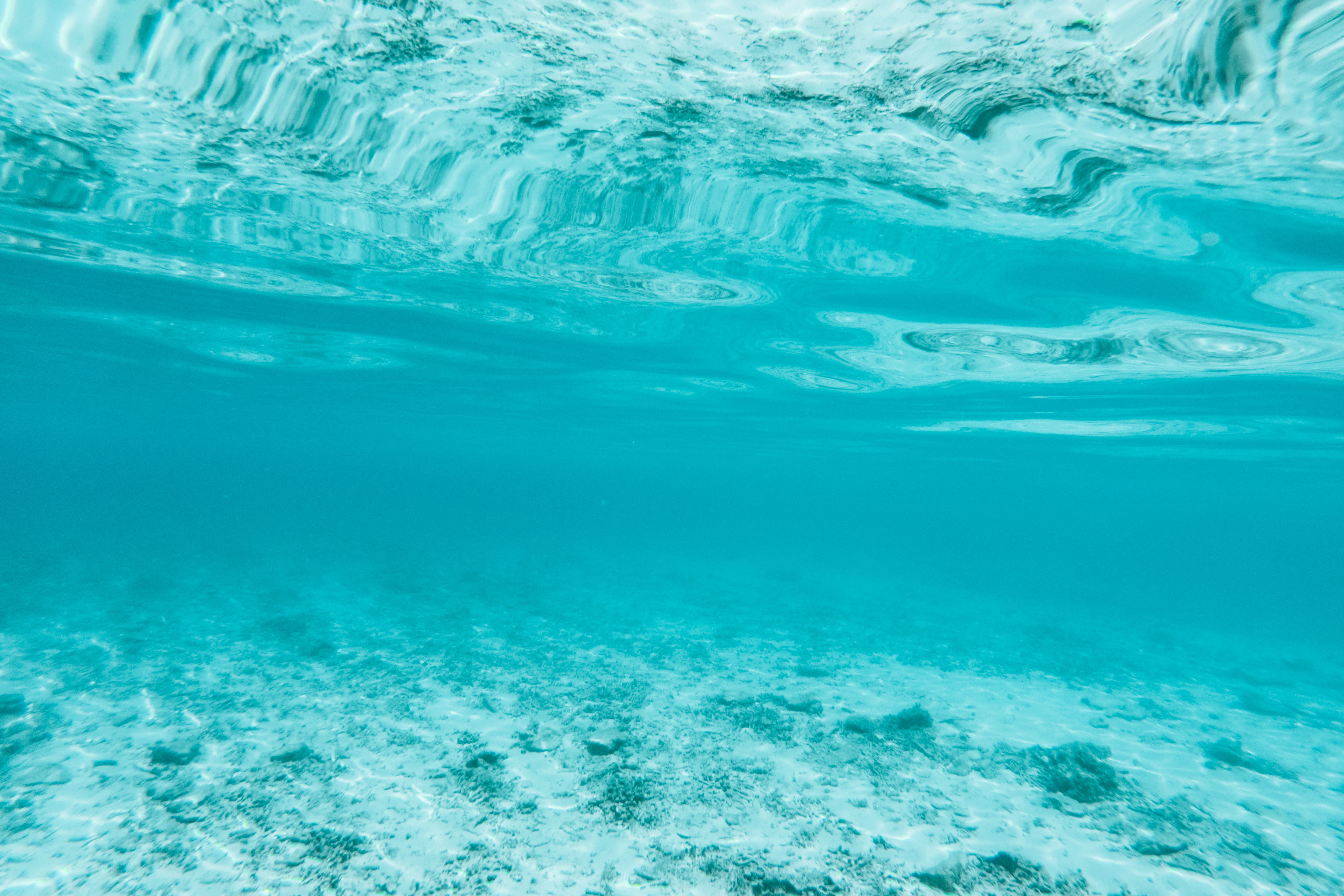 underwater, nature, waves, blue, transparent, depth, under water, bottom