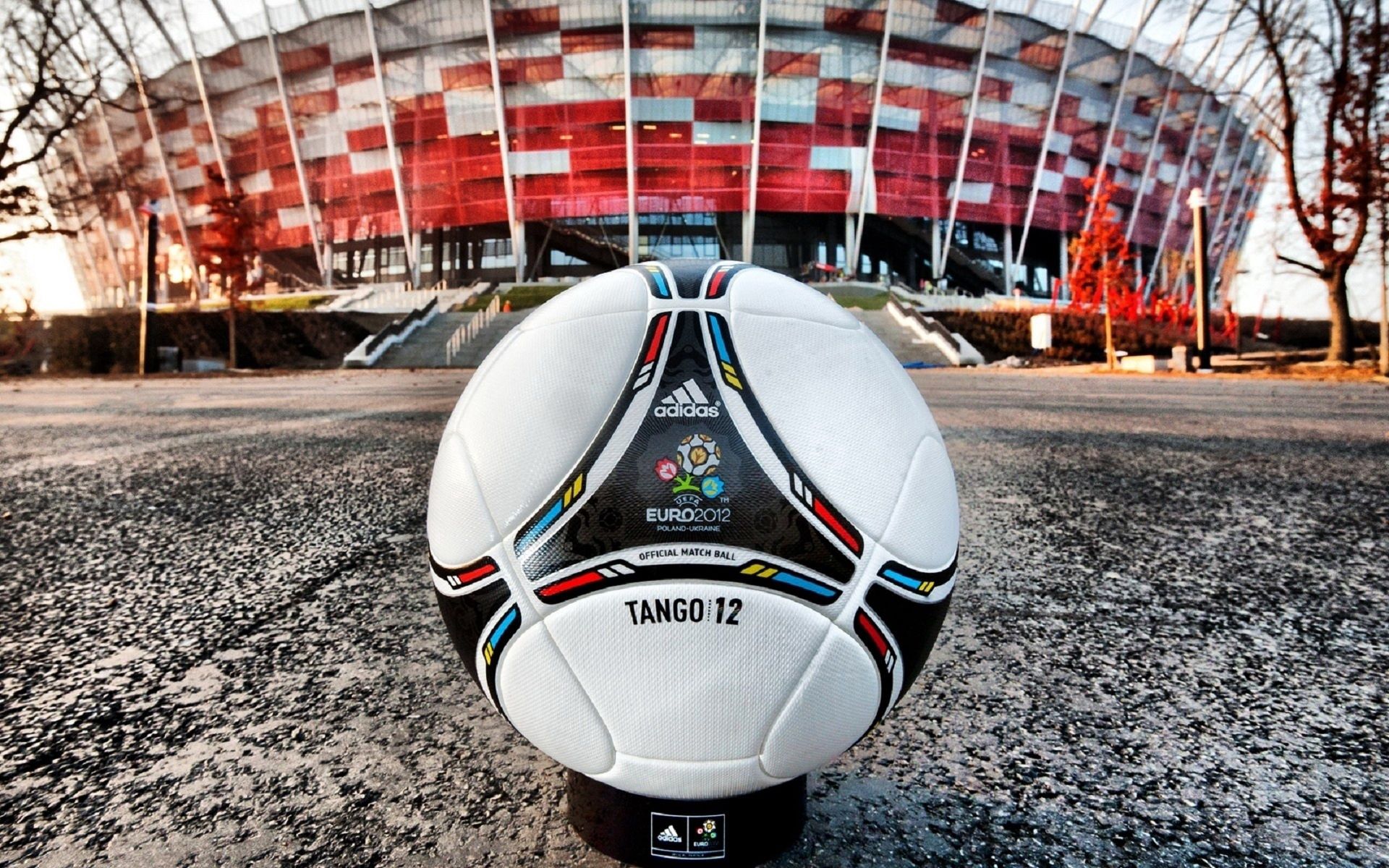 103931 Bild herunterladen sport, ball, leder, haut, stadion, euro 2012 - Hintergrundbilder und Bildschirmschoner kostenlos