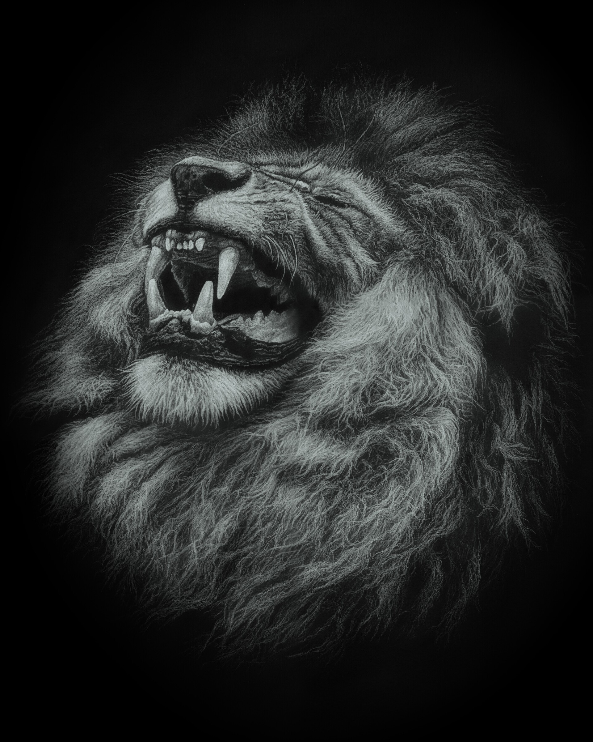 110786 download wallpaper grin, lion, art, predator, big cat screensavers and pictures for free