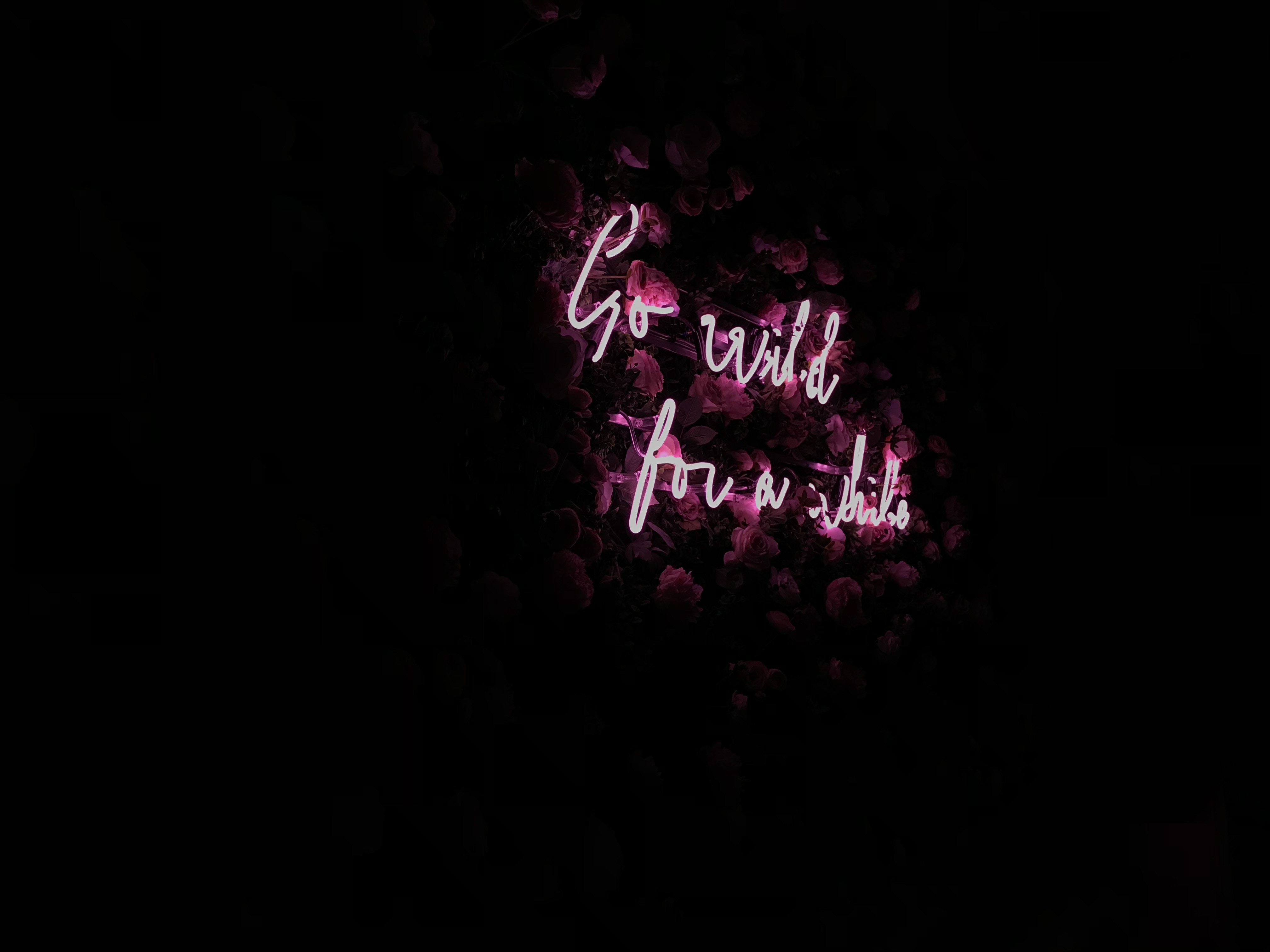 black background, words, flowers, neon, backlight, illumination, inscription