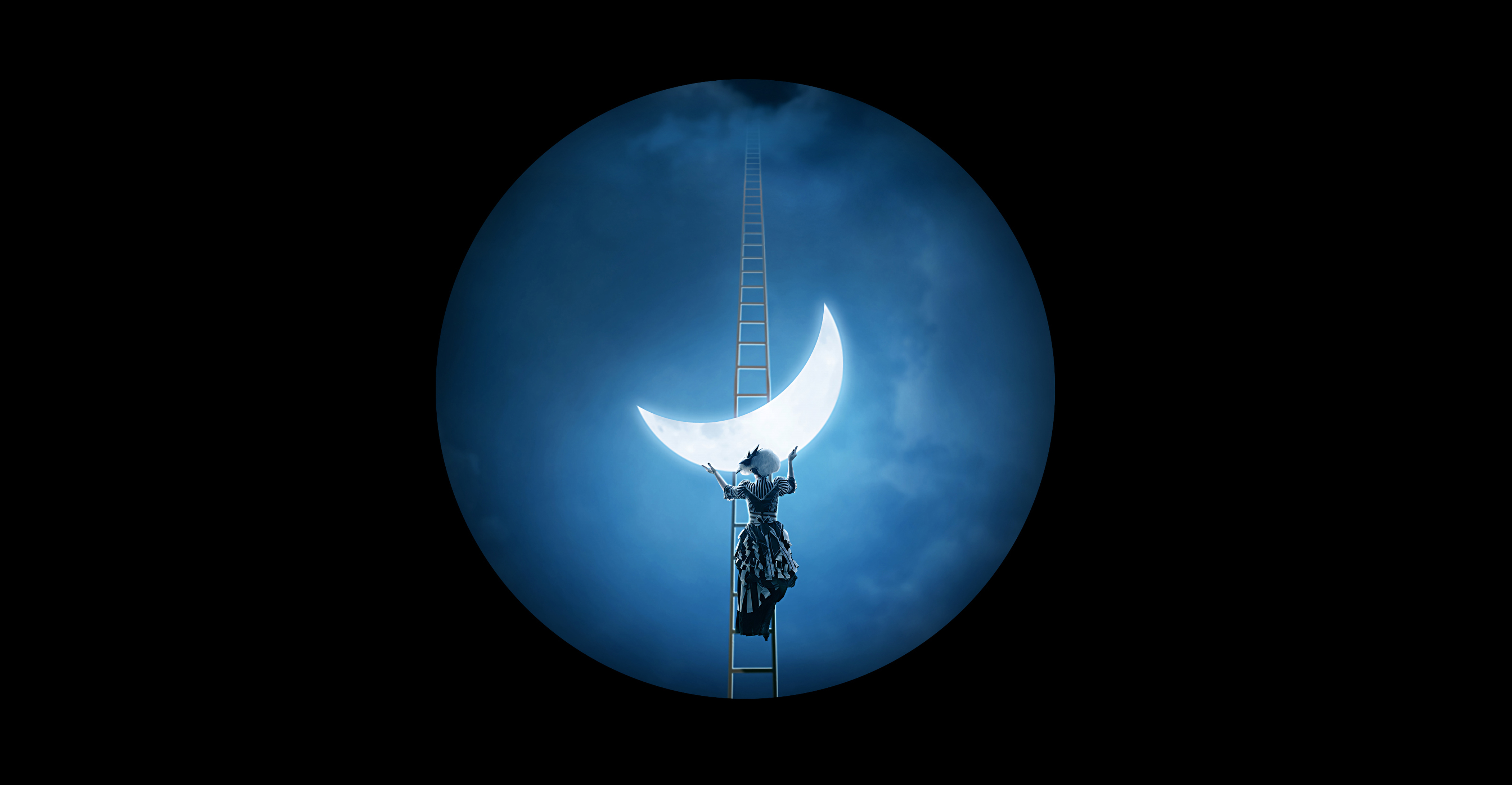 moon, ladder, crescent, artistic