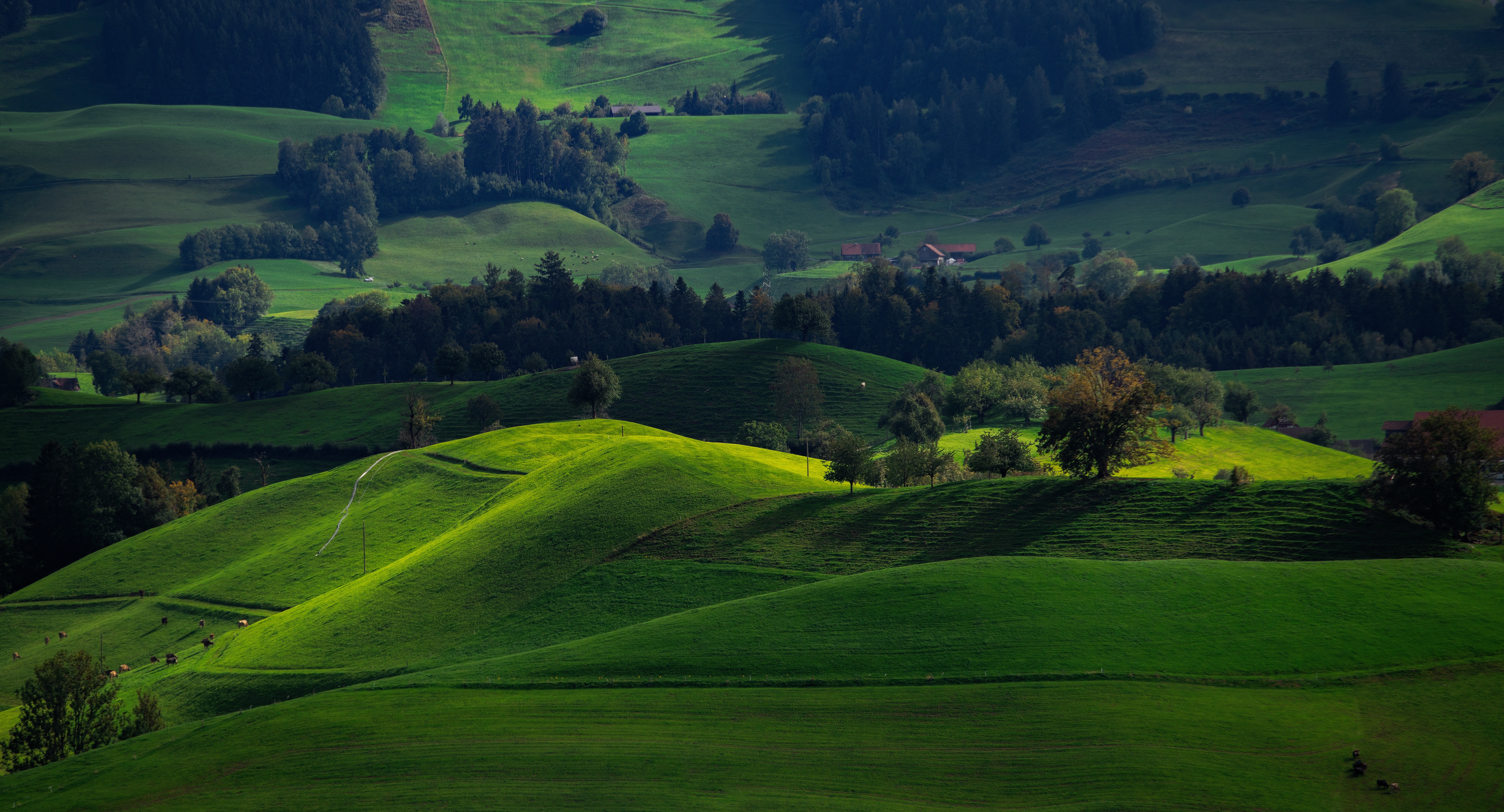 switzerland, fields, green, nature, valley, hirzel phone wallpaper