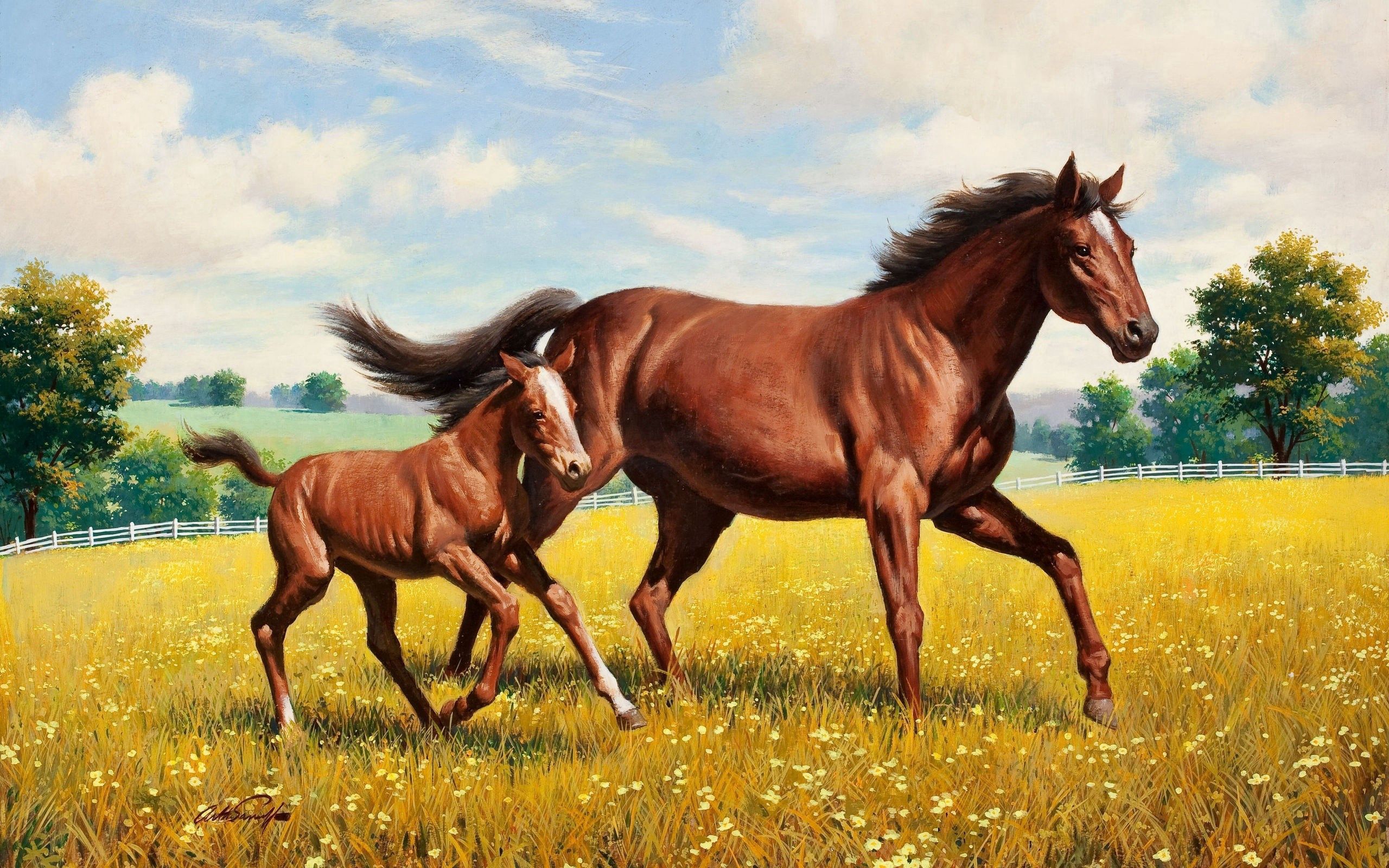 Laden Sie das Glade, Tiere, Grass, Polyana, Pferd, Lauf, Ausgeführte, Hengst-Bild kostenlos auf Ihren PC-Desktop herunter