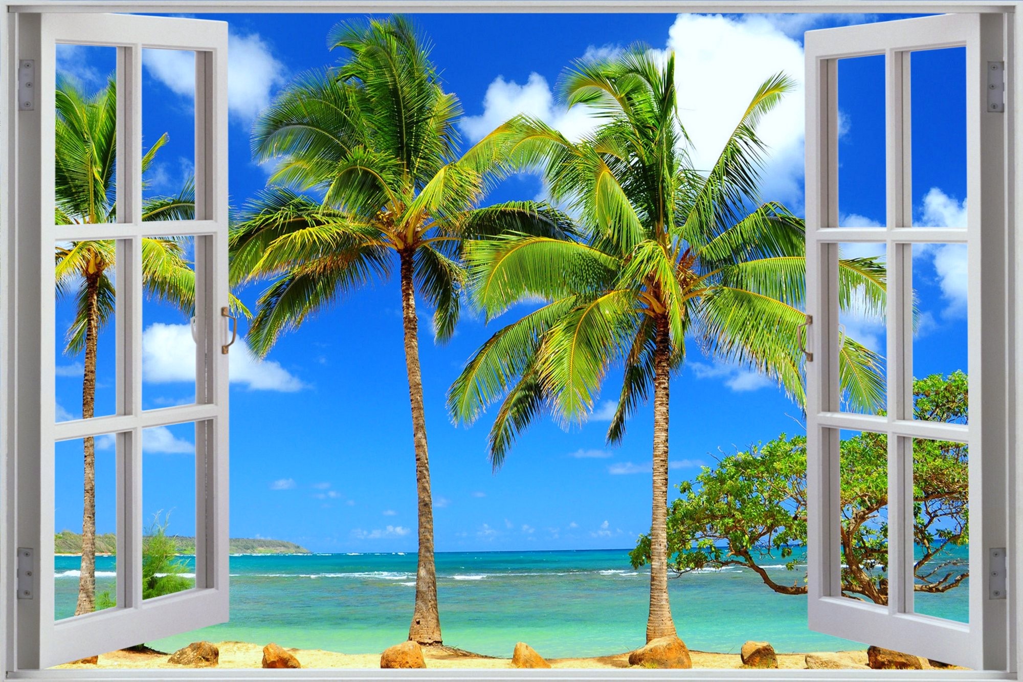HD desktop wallpaper: Beach, Ocean, Window, Tropical, Man Made, Palm Tree  download free picture #738634