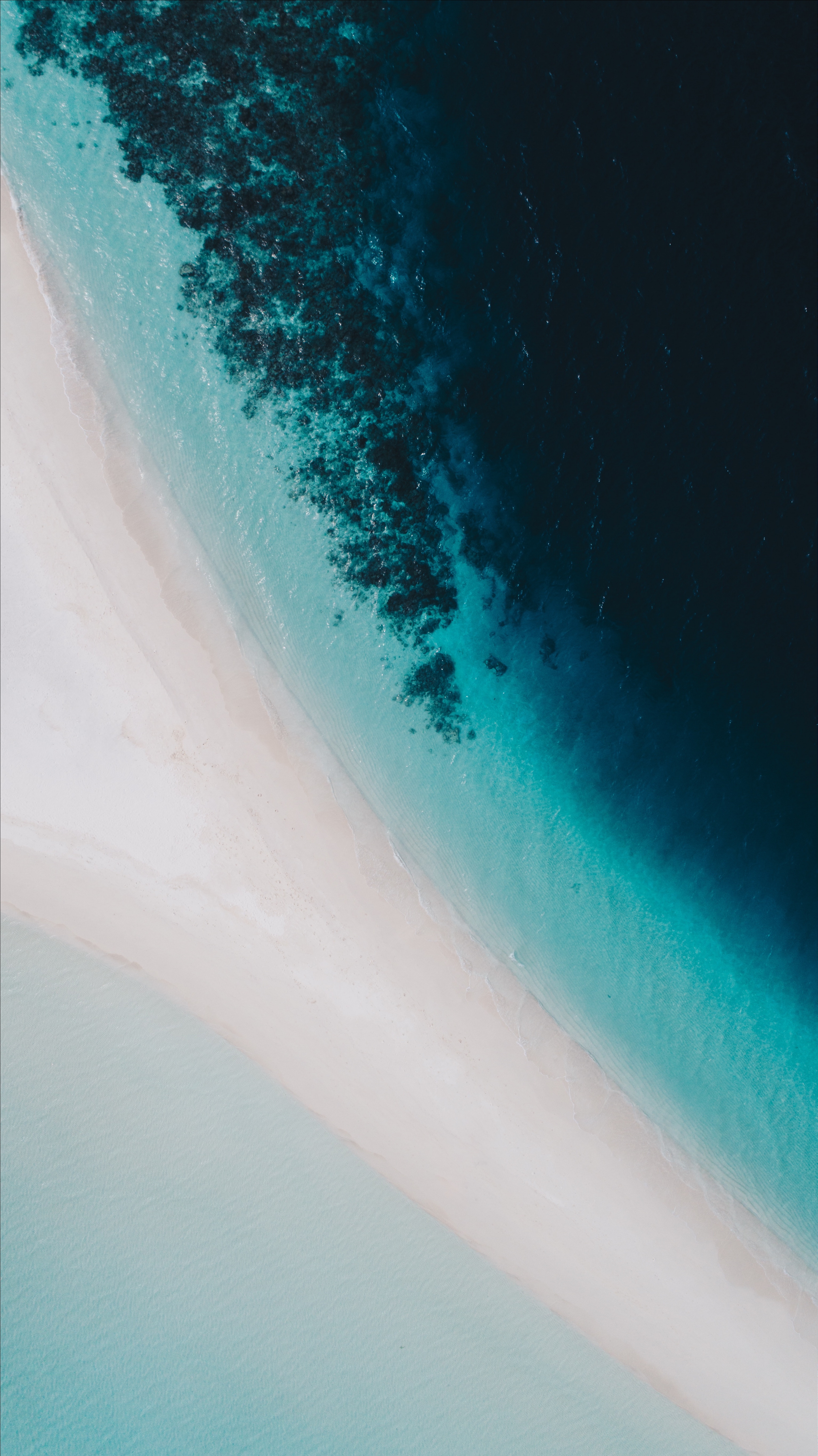 ocean, nature, water, view from above, coast, maldives Free Stock Photo