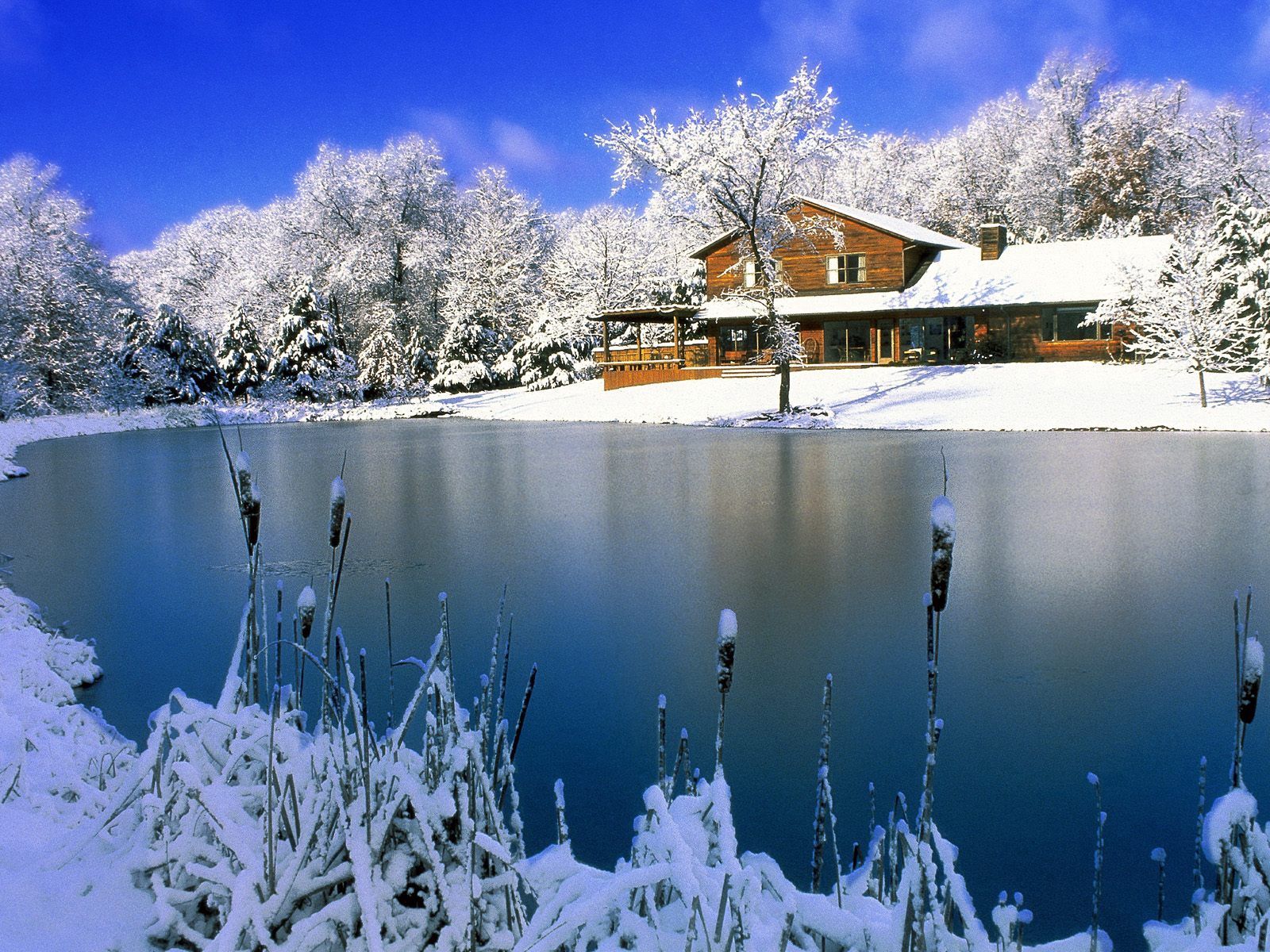 winter, nature, ice, snow, lake, house, reeds, day High Definition image