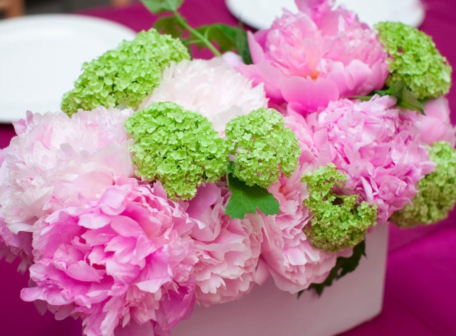 HD Peonies Android Images