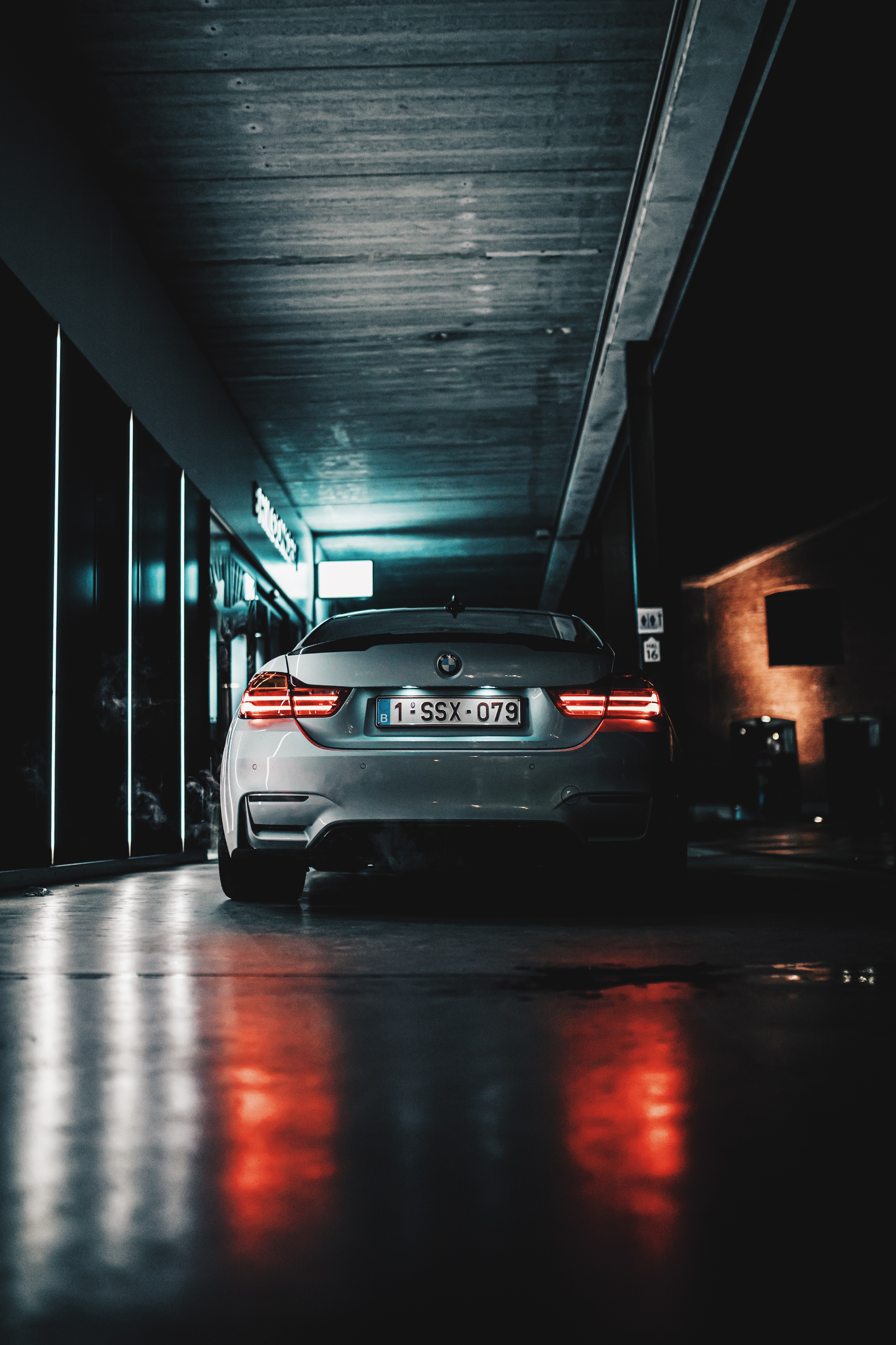 machine, cars, car, neon, back view, rear view, suite, lux wallpapers for tablet