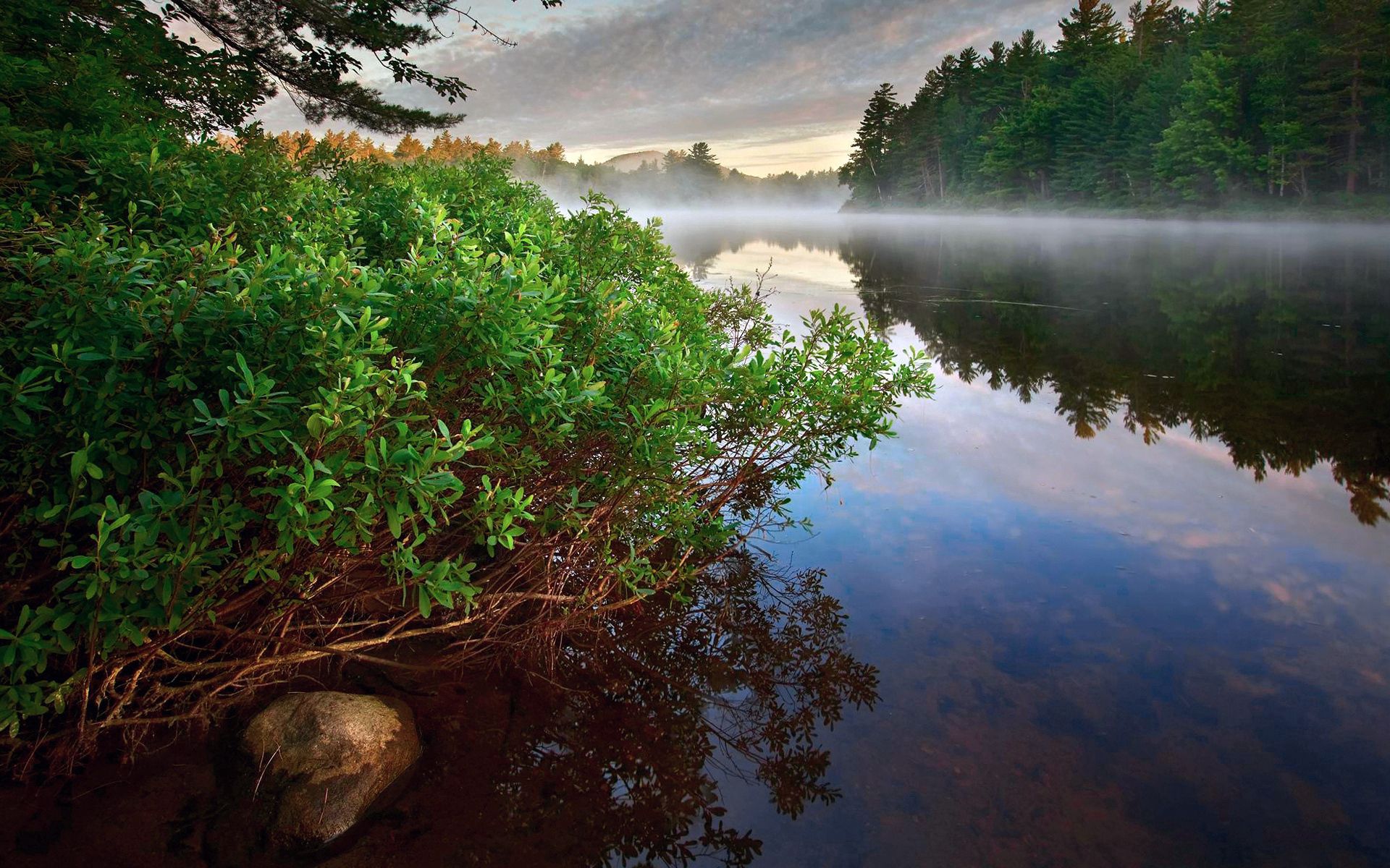 Laden Sie das Natur, Wasser, Bush, See, Wald, Nebel, Glatt, Oberfläche, Stein, Stille, Ein Stein, Dampf-Bild kostenlos auf Ihren PC-Desktop herunter