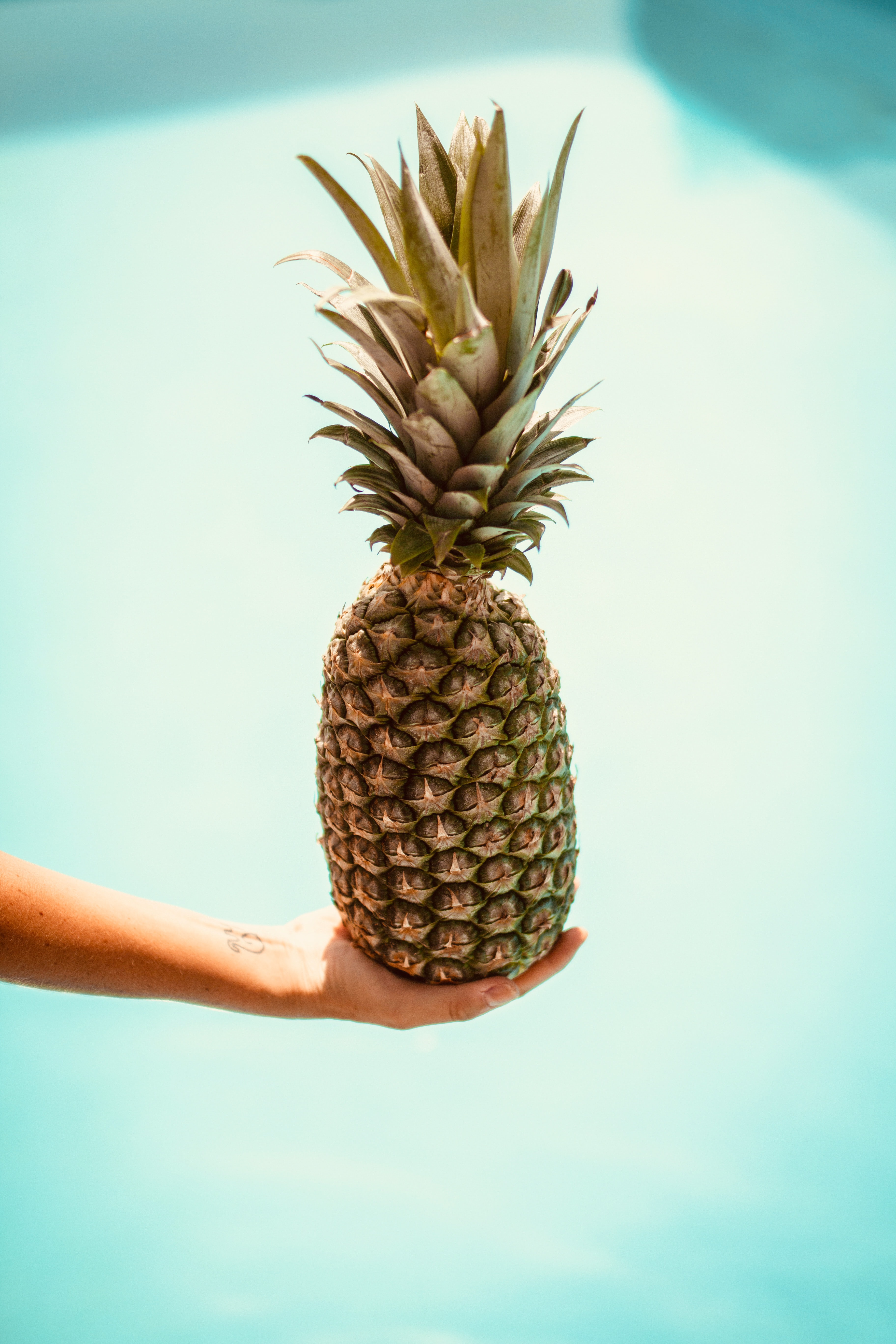 99390 Bild herunterladen lebensmittel, ananas, hand, frucht, die frucht, eine ananas - Hintergrundbilder und Bildschirmschoner kostenlos