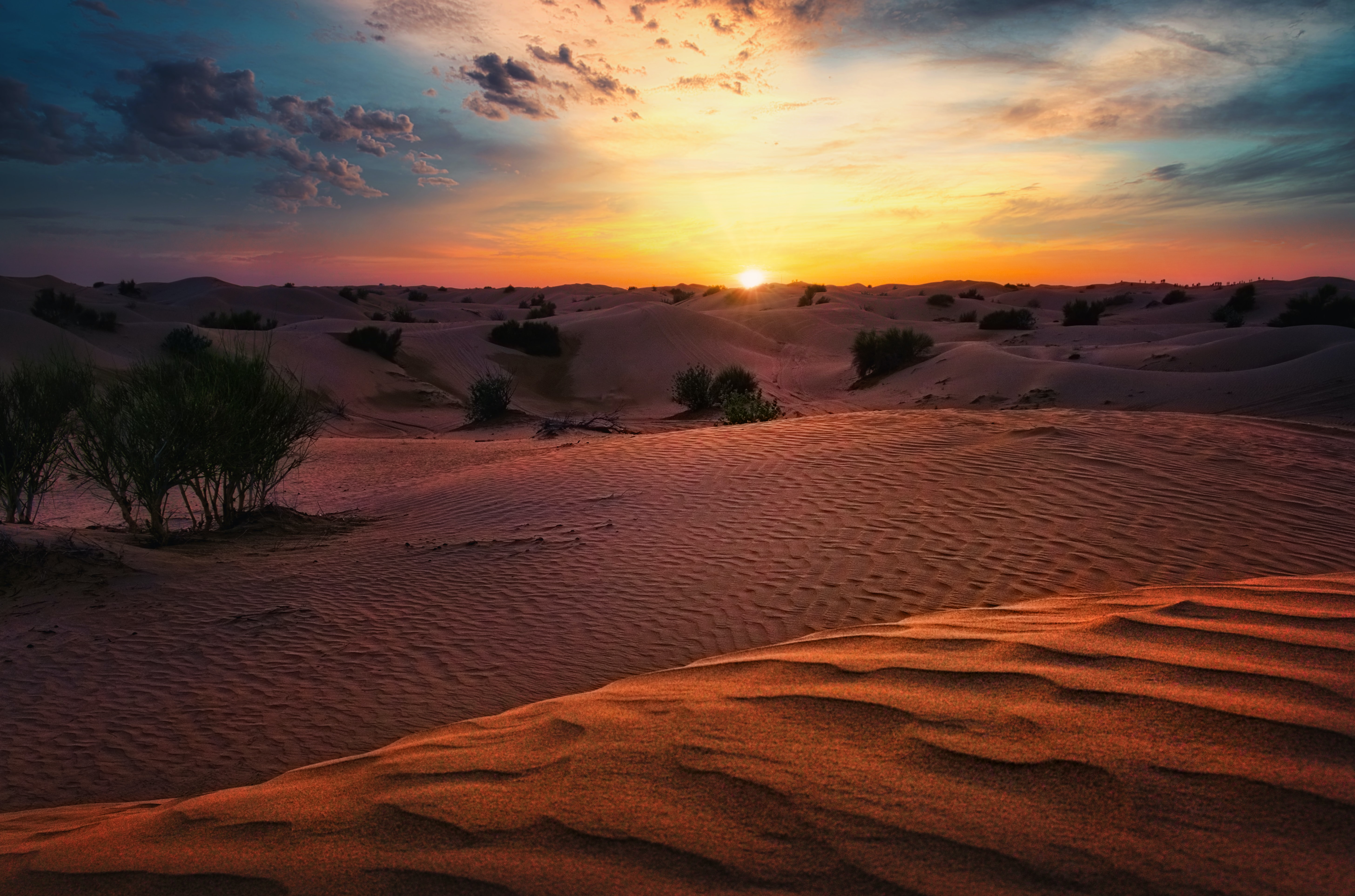 67055 скачать обои закат, пустыня, природа, песок, кусты, холмы - заставки и картинки бесплатно