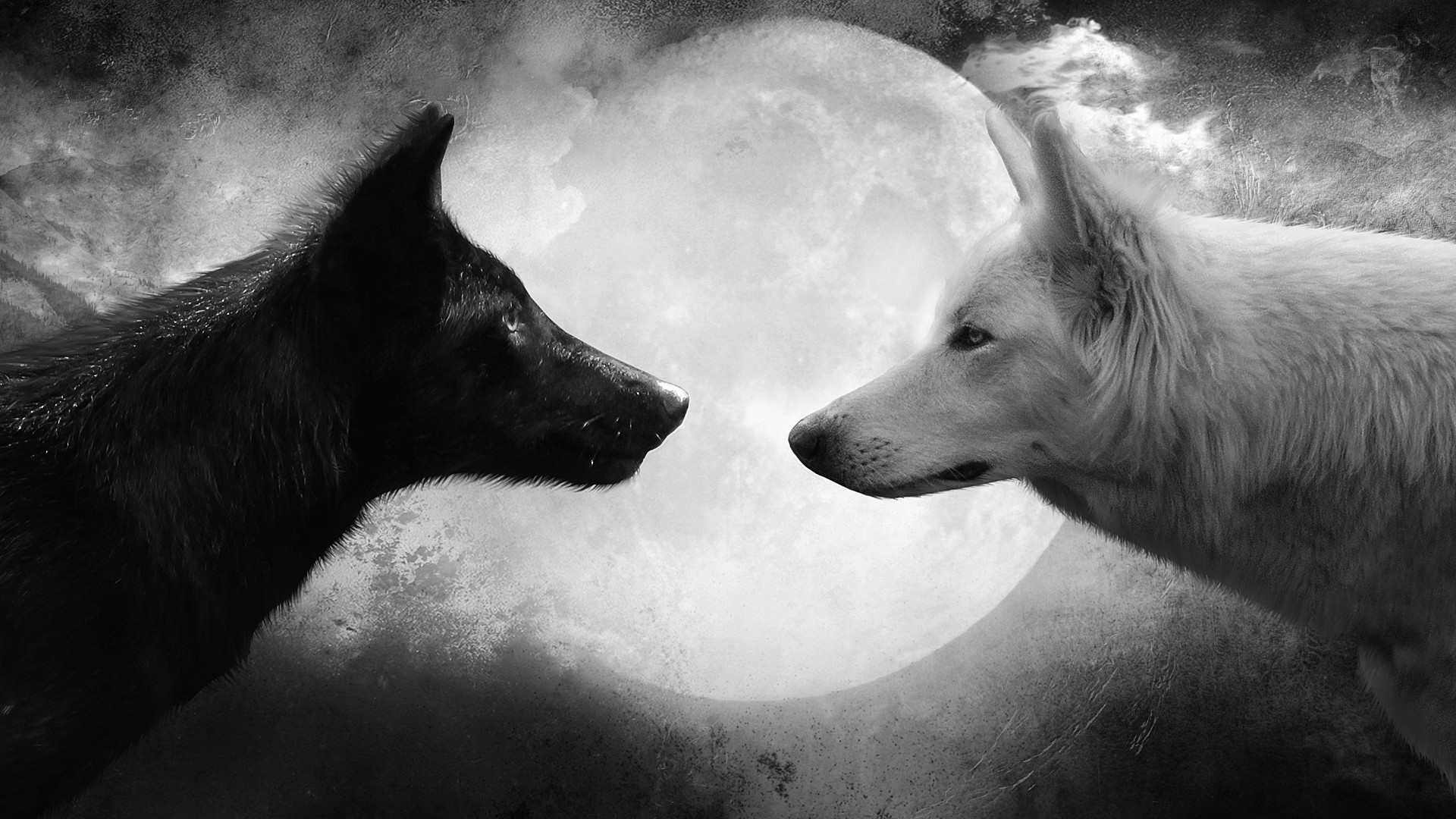moon, wolf, animal, wolves for android