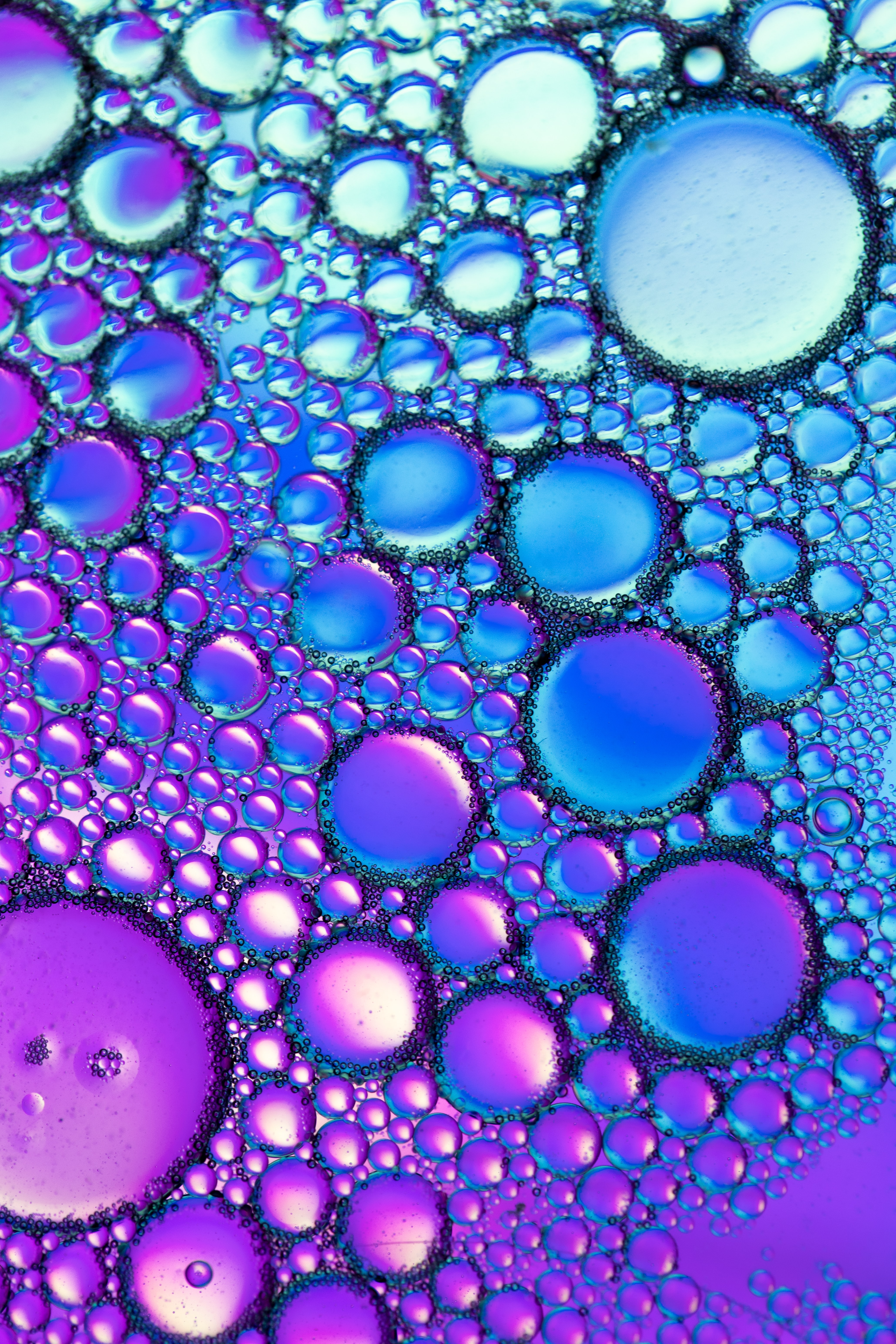69364 download wallpaper bubbles, violet, blue, macro, liquid, purple, butter, oil screensavers and pictures for free