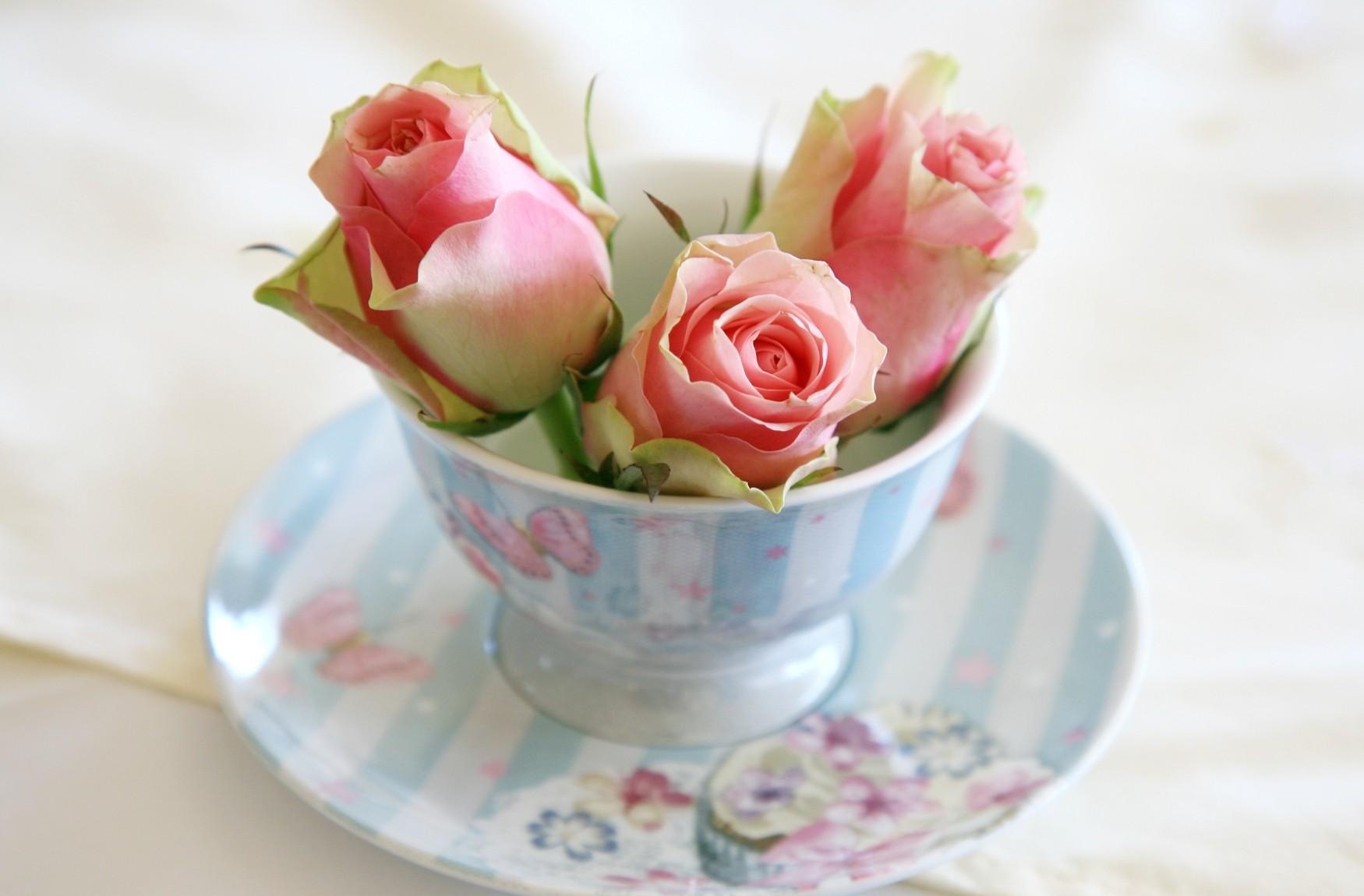 Download Phone wallpaper cup, flowers, saucer, roses