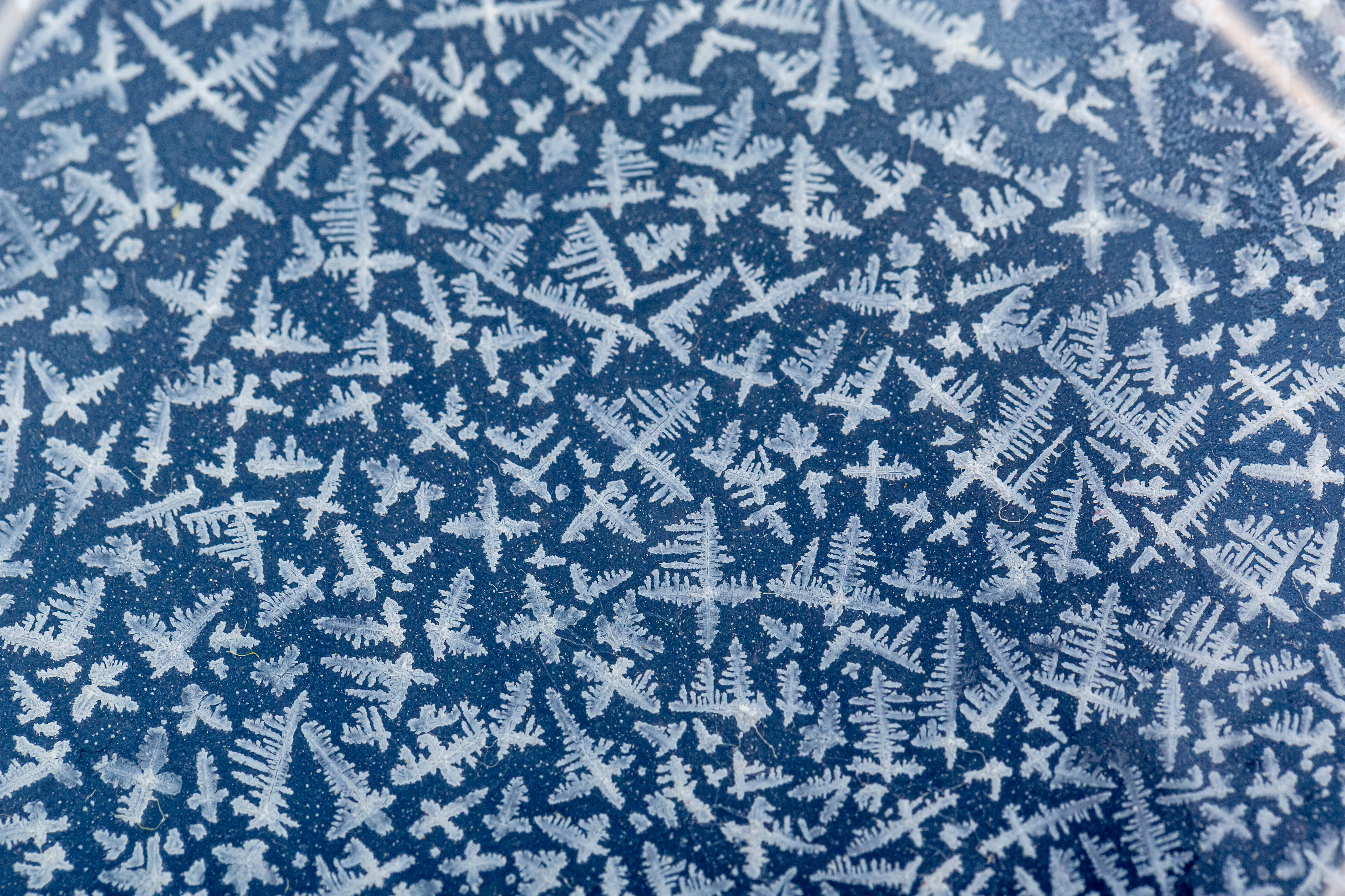 blue, frost, macro, hoarfrost Surface HD Android Wallpapers