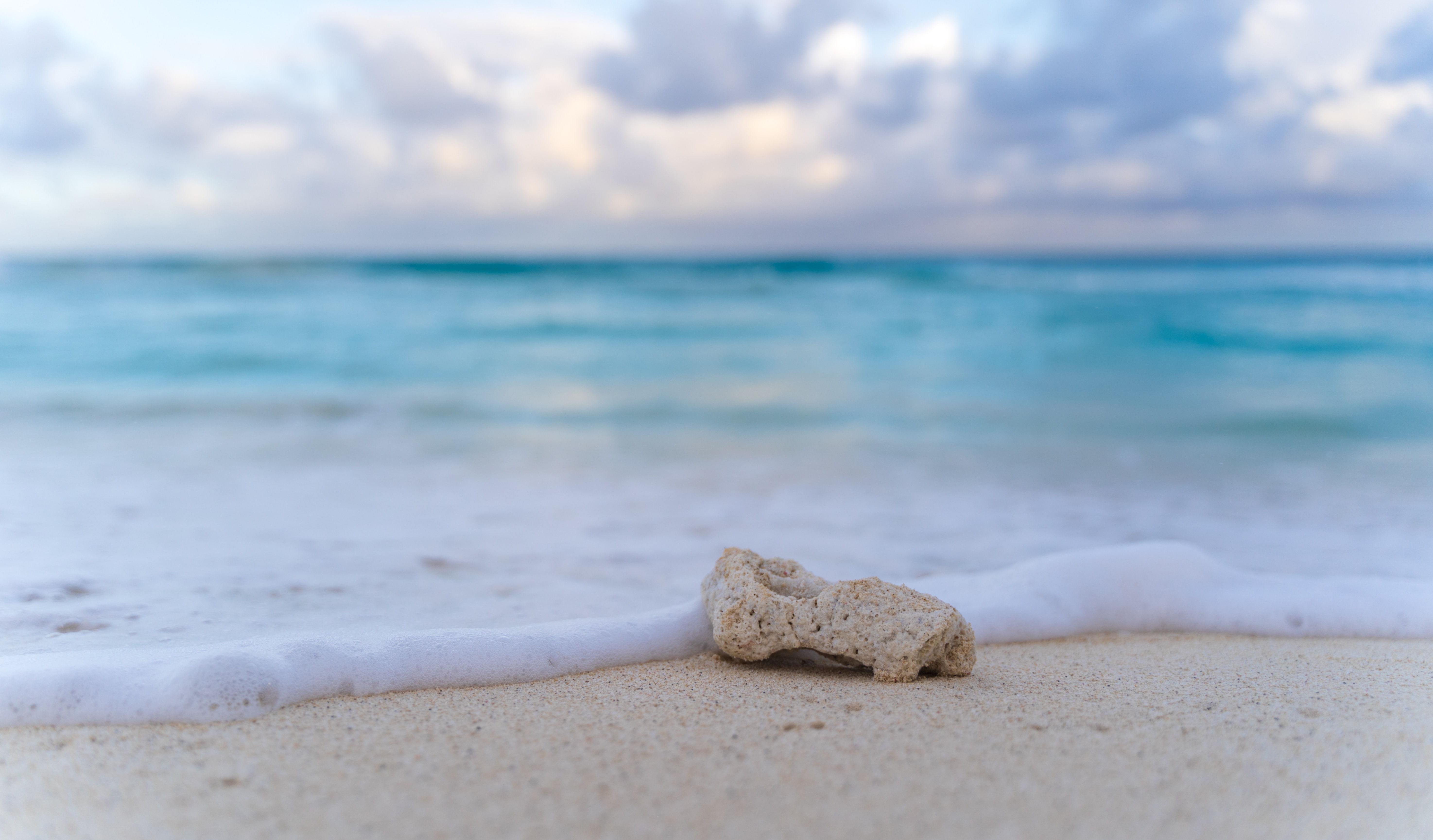 Laden Sie das Natur, Strand, Küste, Stein, Schaum, Ein Stein-Bild kostenlos auf Ihren PC-Desktop herunter