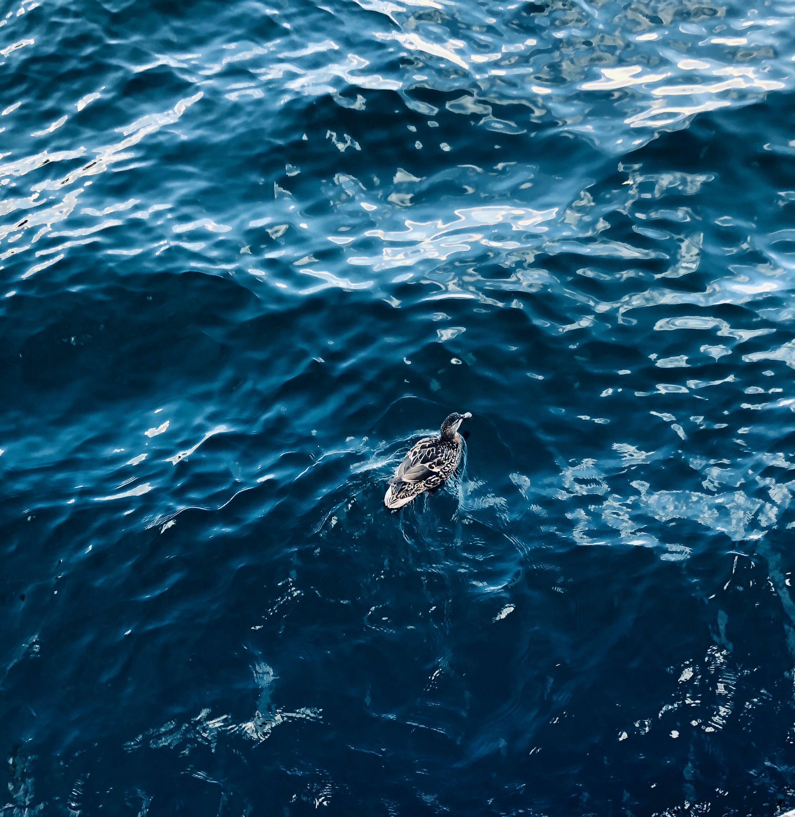 High Definition Ripples background