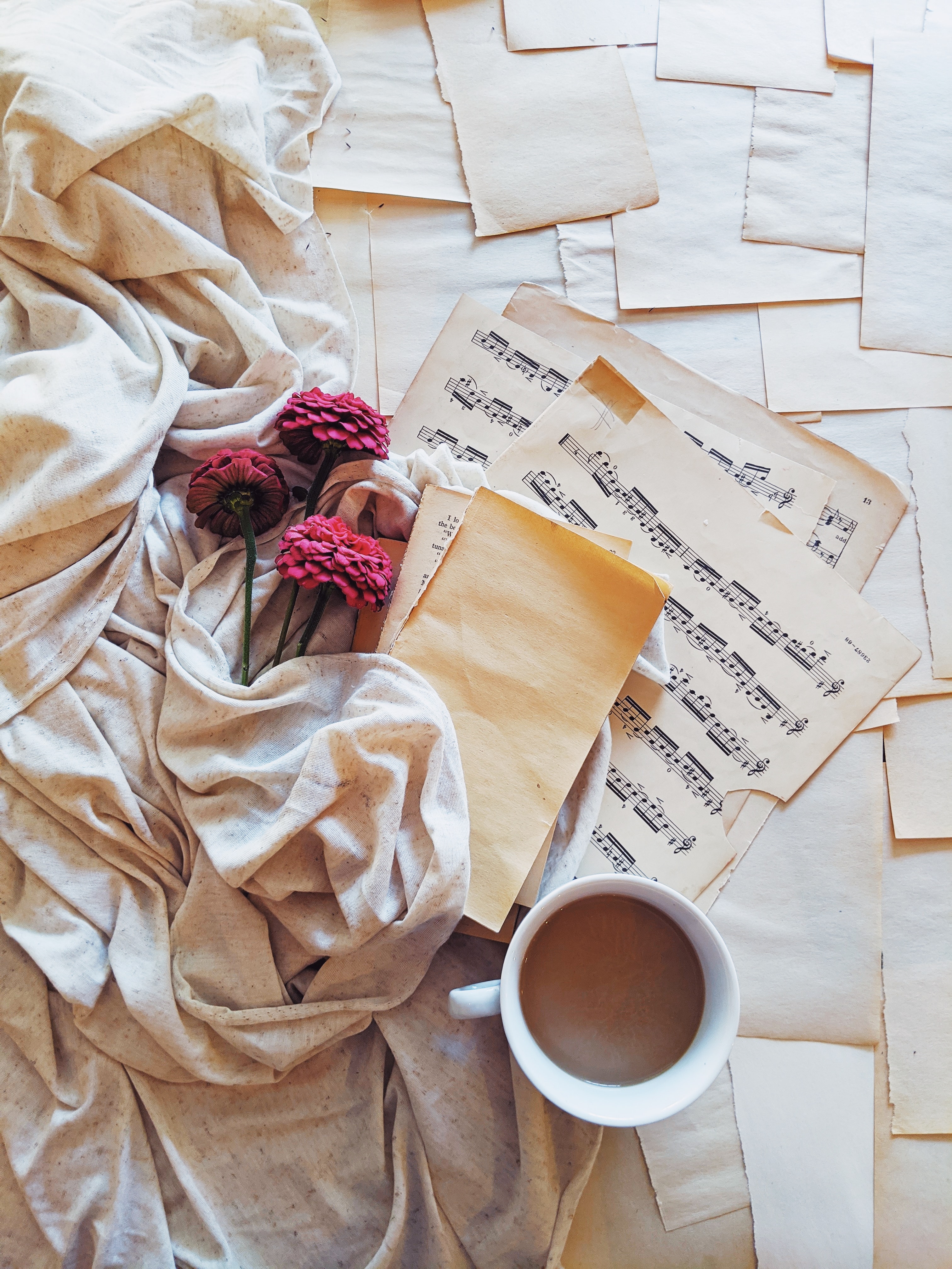music, flowers, miscellanea, miscellaneous, cup, cloth, notes Full HD
